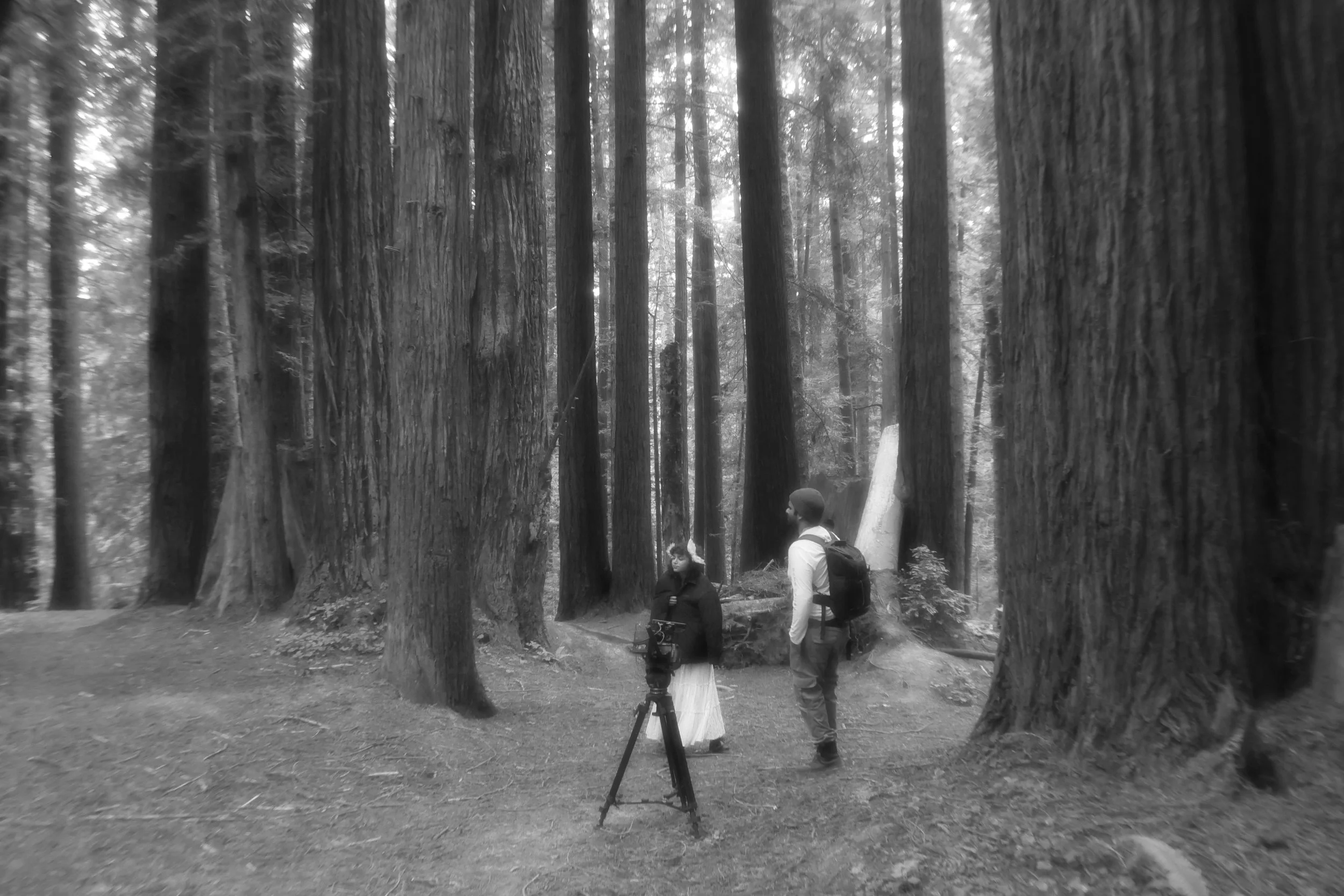 Directing vs Editing: How I Shift My Brain Between Roles