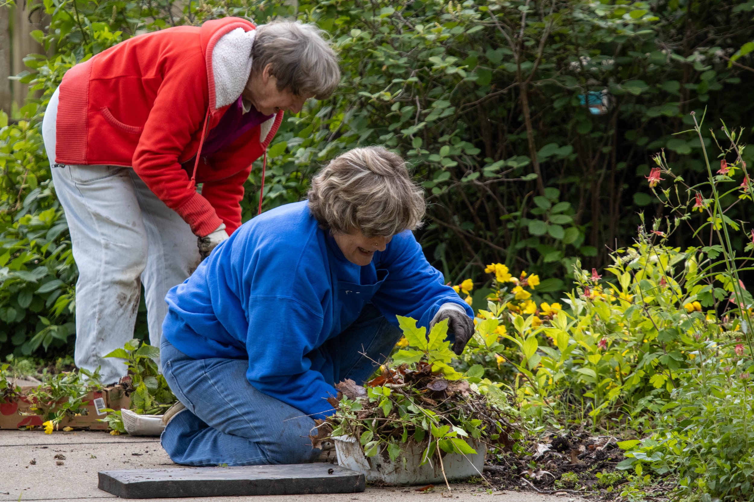 staff botanical garden (1 of 1).jpg