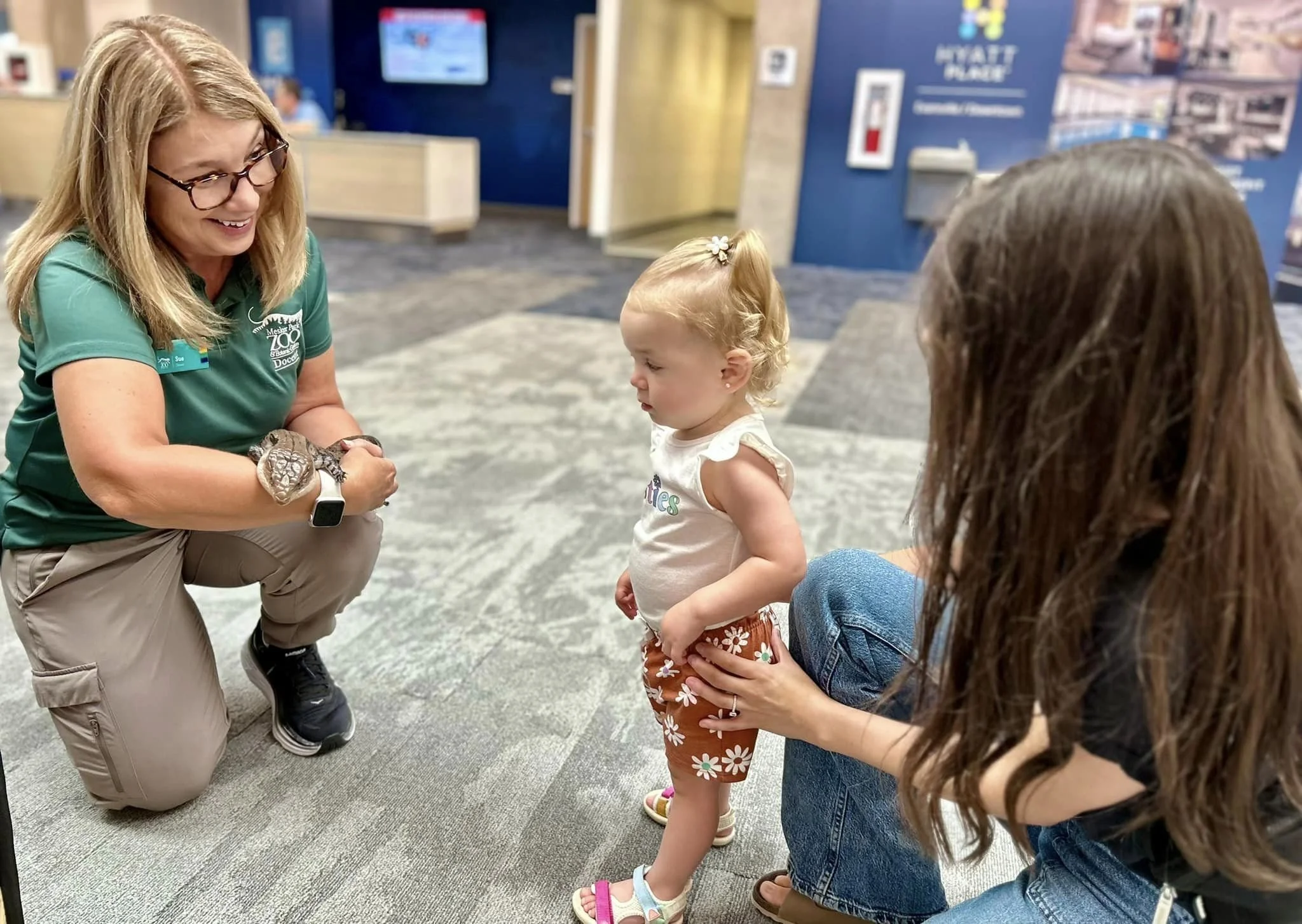 A zoo volunteer in a green shirt squats with our ambassador skink for a guest interaction.