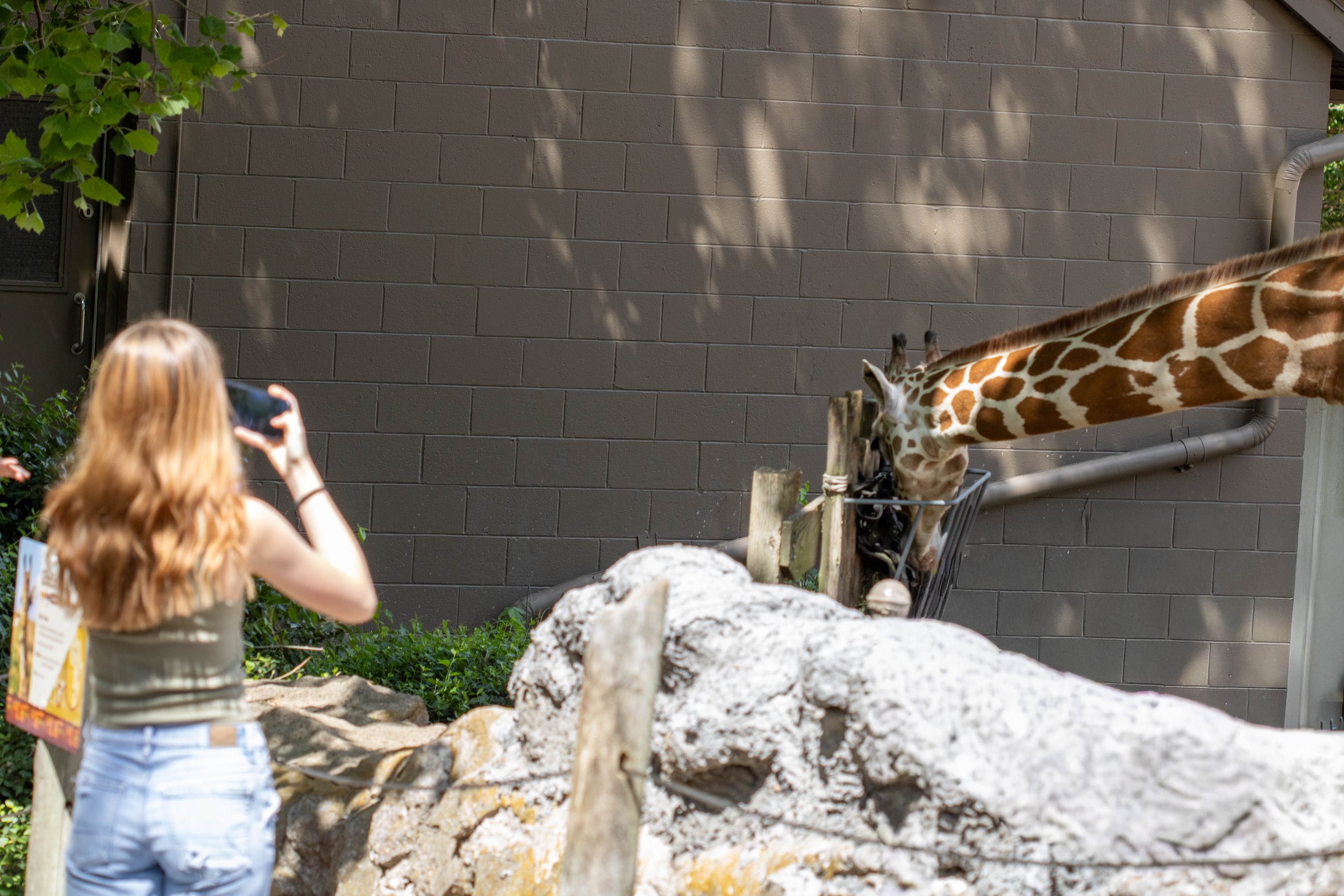 Guest and Giraffe (1 of 1).jpg