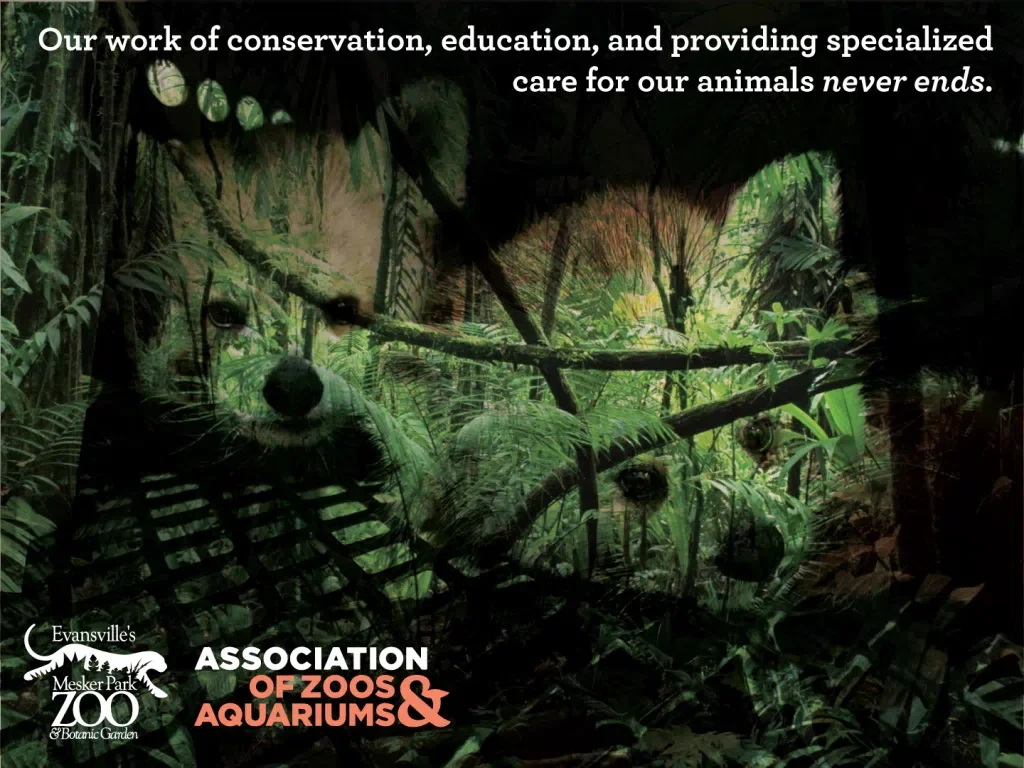 A poster for the Evansville's Mesker Park Zoo & Botanic Garden, showing a jungle scene with a lion, a wolf, and a snake, along with lush green foliage. Text emphasizes conservation, education, and animal care.