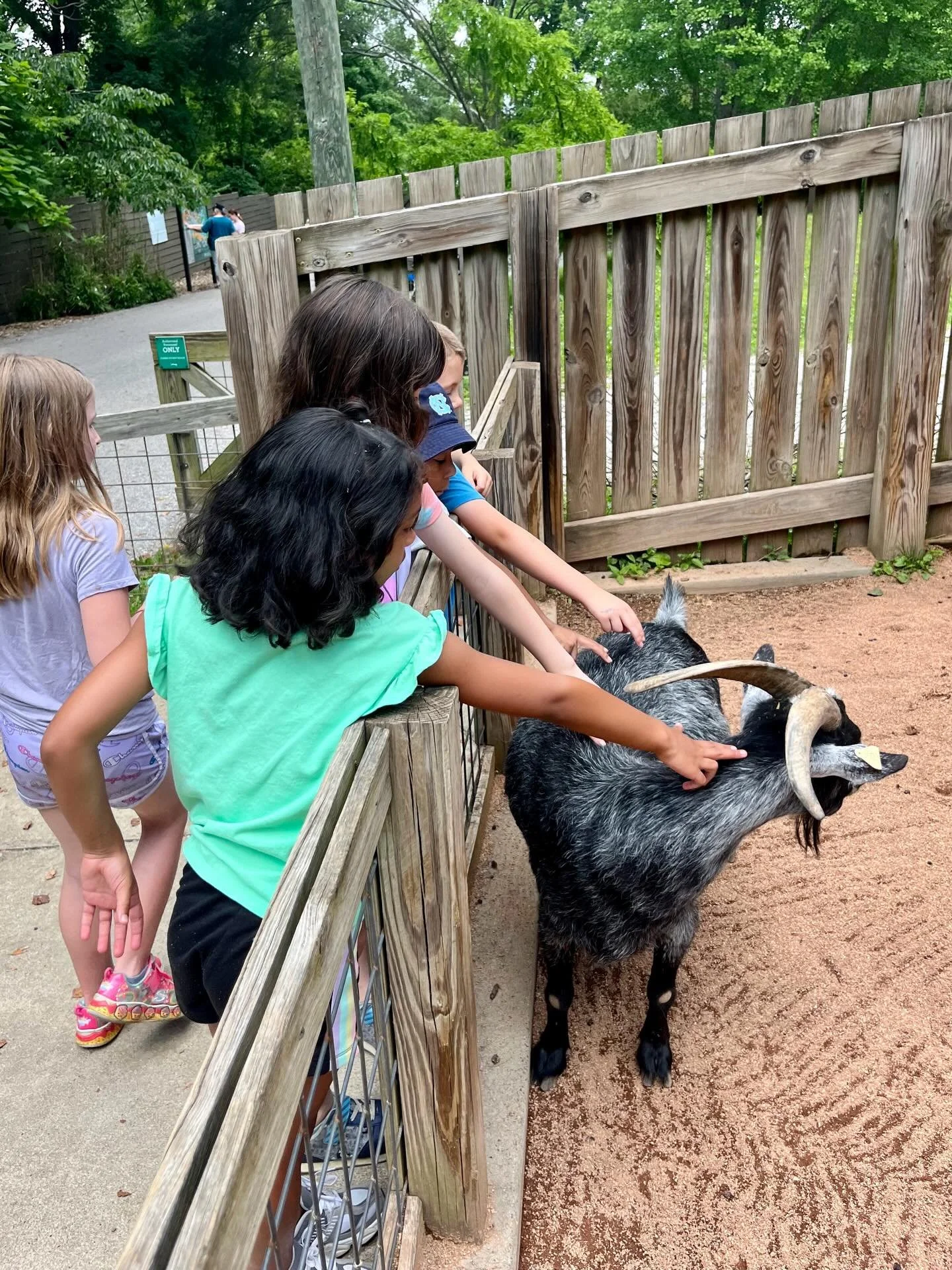 FEEDING TIME 🦒🥕  Want to facilitate a core memory for your kids??   At Camp Zoofari, campers get to be right in the middle of the action! Helping feed giraffes, checking out otter playtime, and getting way closer to animals than they ever expected!