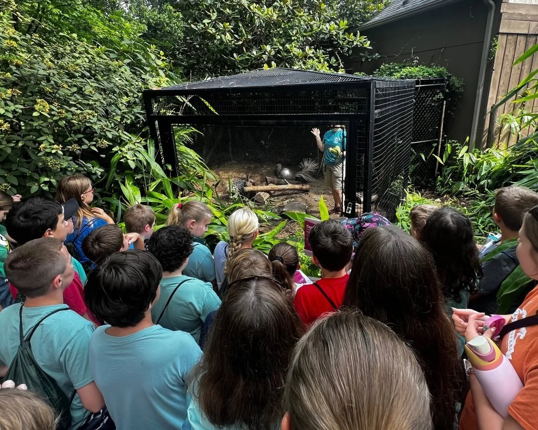KEEPER CHAT TIME 🐾🗣️

These are some of those moments your kids are going to talk about alllll summer long!

At Camp Zoofari, campers get to stop by Keeper Chats throughout the zoo and hear directly from the people who work with the animals at Mesk