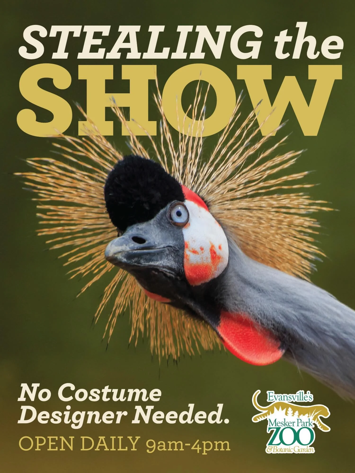 We&rsquo;re thrilled to partner with @evscsummermusical for their 2026 Summer Musical!

When you&rsquo;re heading to the show this summer, keep an eye out for Mesker Park Zoo in the program. We may not have room for a full orchestra&hellip; but we do