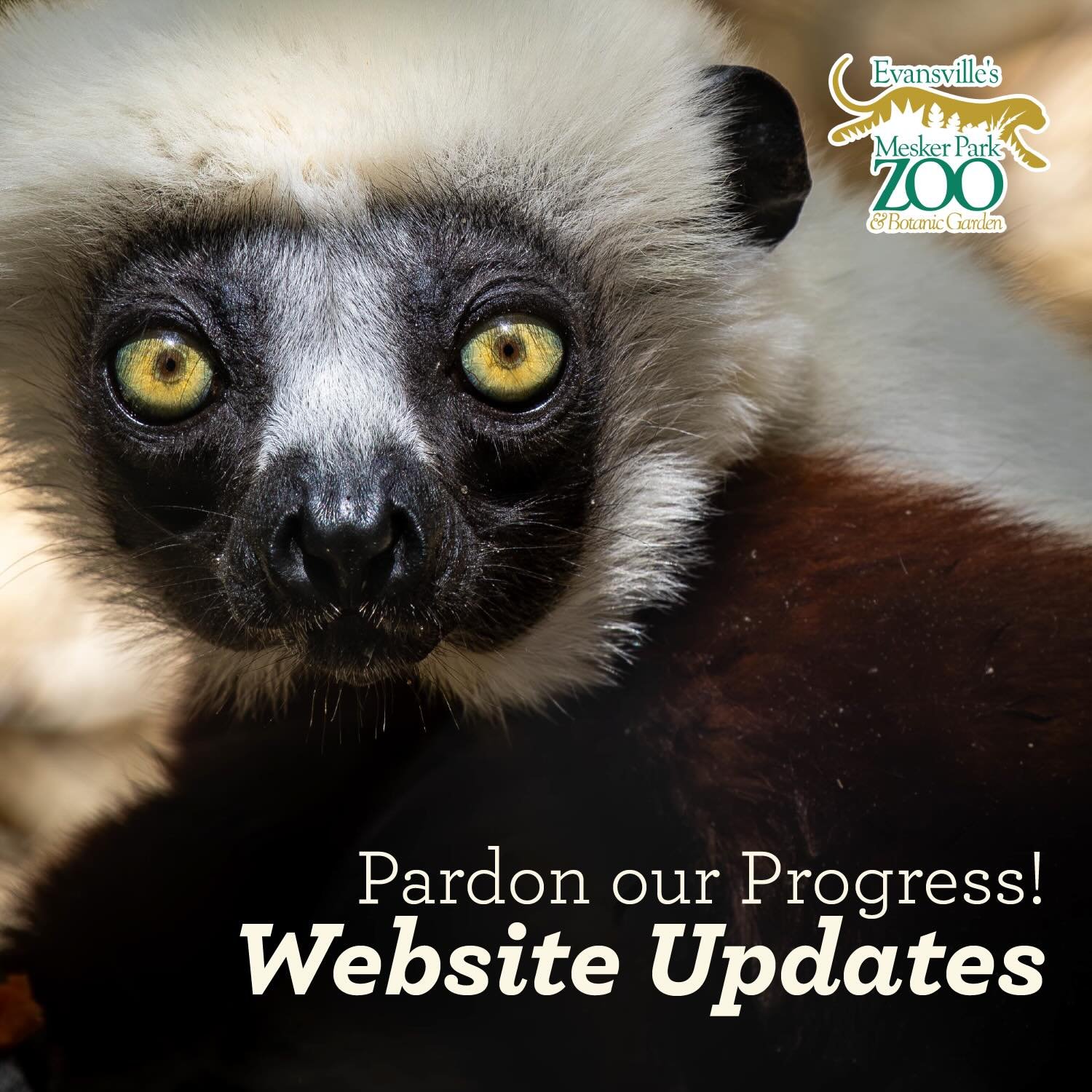If it feels like there&rsquo;s something new every time you visit lately, you&rsquo;d be right! 

We&rsquo;ve been busy updating things all across the zoo! From the new roof on the Discovery Center to new planters on the grounds, and all the new babi
