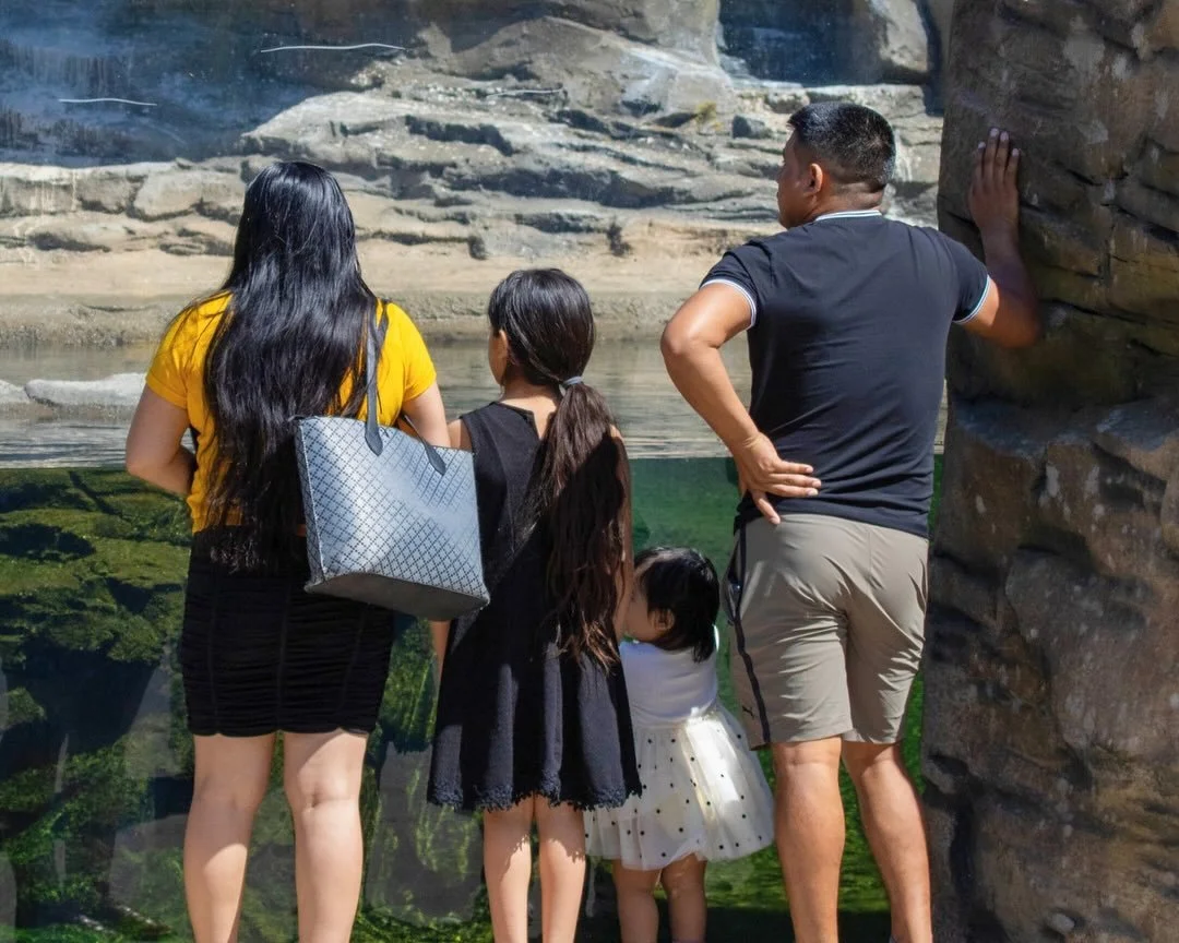 Looking for ways to keep the kids busy now that school&rsquo;s out? ☀️🐾

A membership to Mesker Park Zoo gives you a full year of adventures, animal encounters, tram rides, special events, and answers the never ending question, &ldquo;what should we