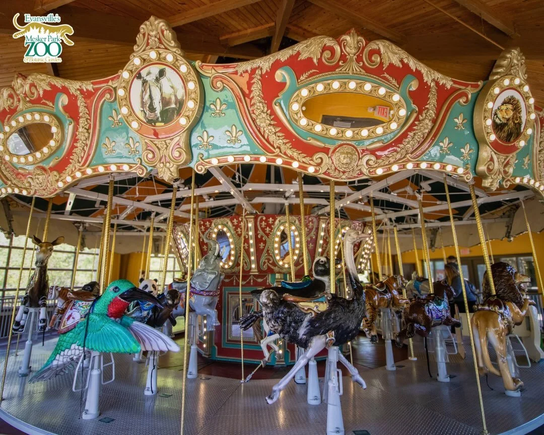 Did you know the carousel you enjoy today is actually Mesker Park Zoo&rsquo;s second carousel? 🎠

The original carousel found its home at Carowinds in North Carolina in 1979, but the Engelbrecht Carousel that greets guests today is a much newer addi