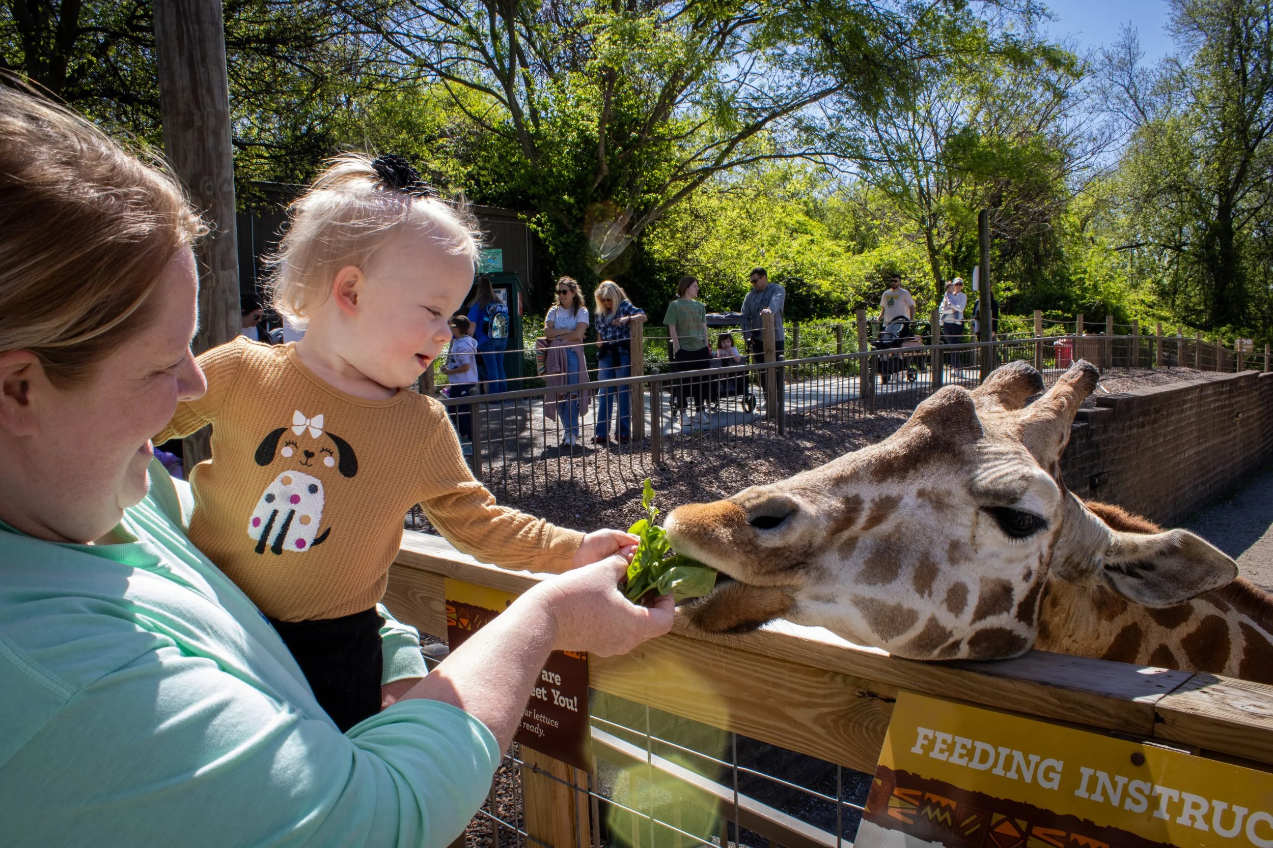 Copy of kid giraffe 6 (1 of 1).jpg