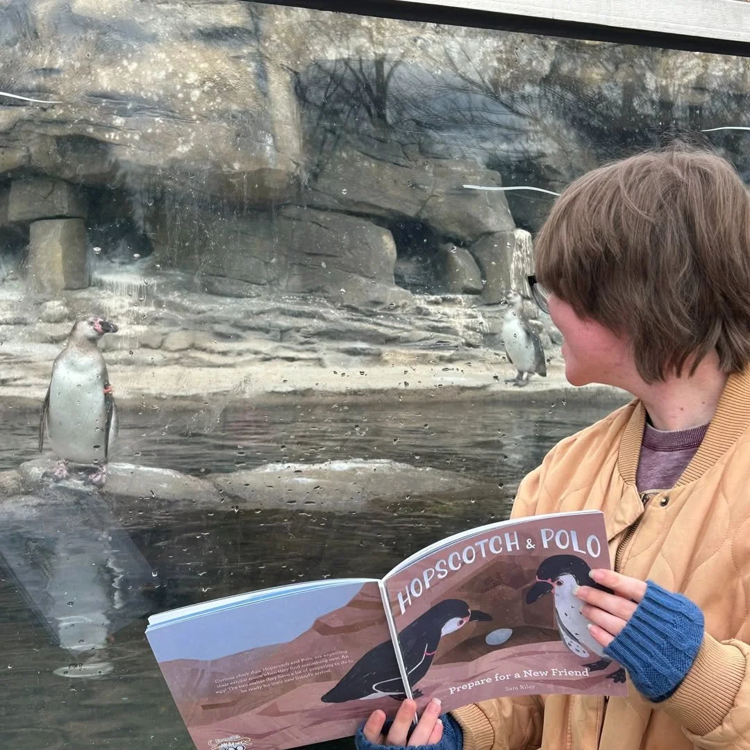 A person reading a book titled 'Hopscotch & Polo' while looking at penguins through a glass at a zoo or aquarium exhibit.