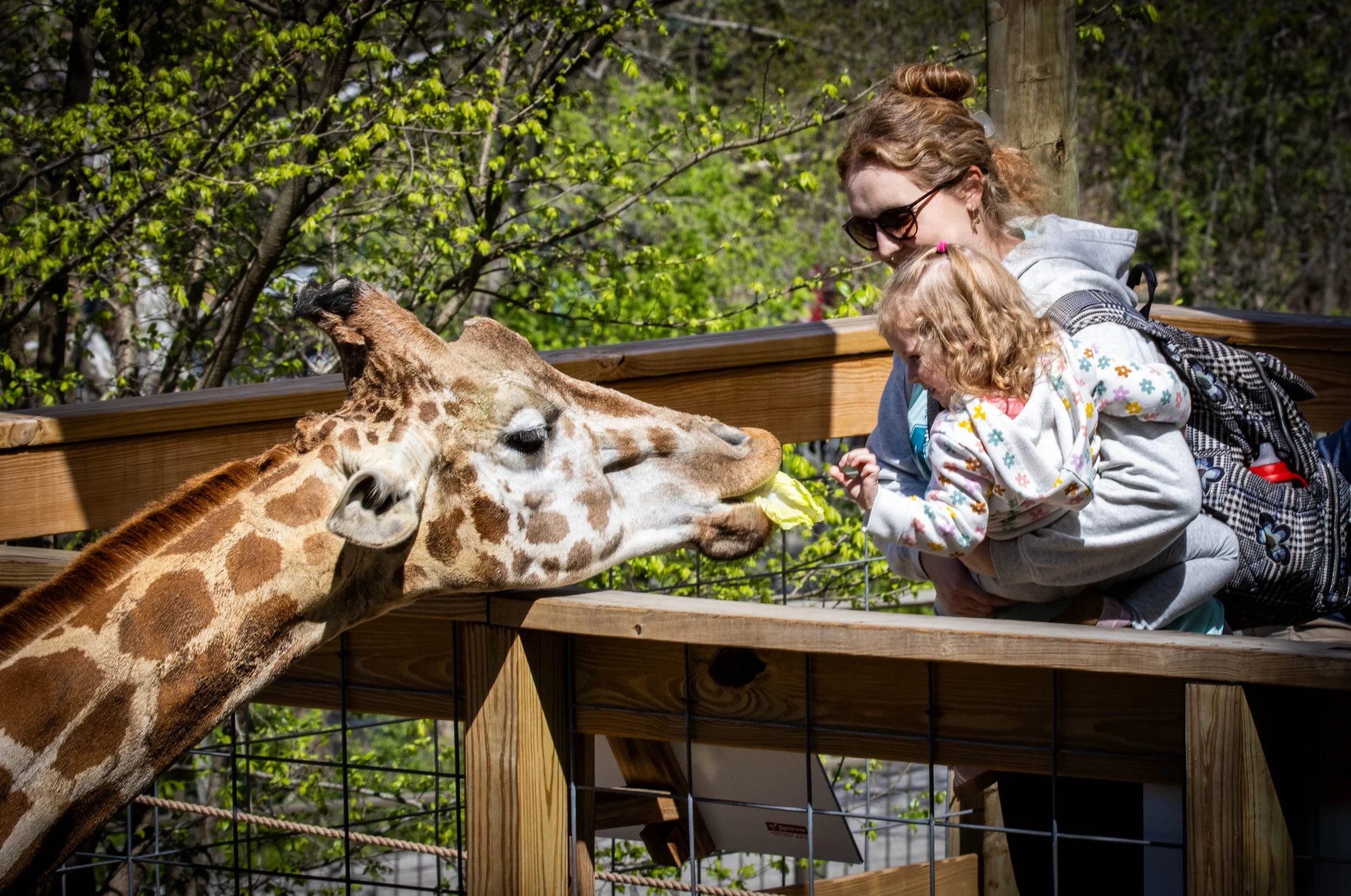Copy of kid giraffe 3 (1 of 1).jpg
