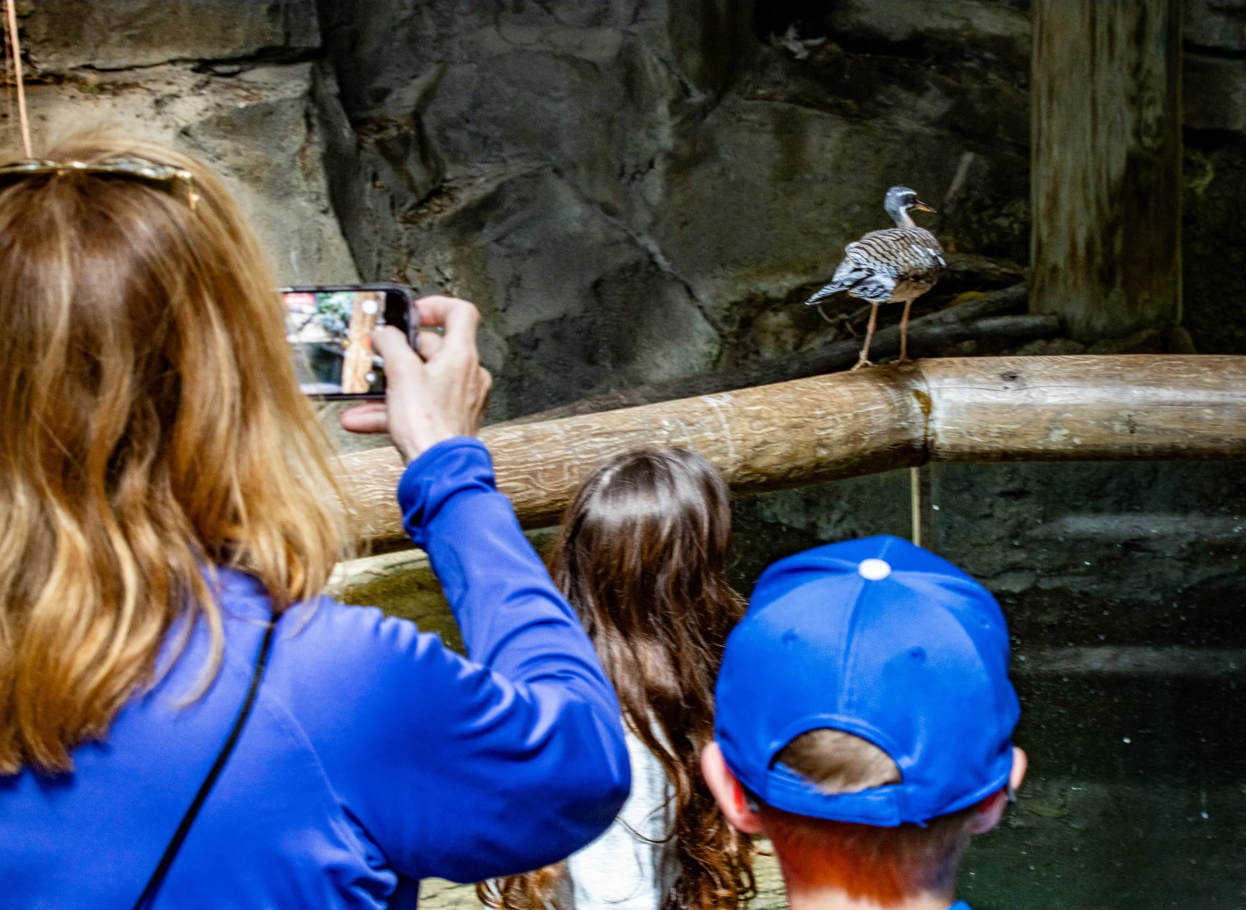 Group of children watching a duck on a log in a zoo or park.