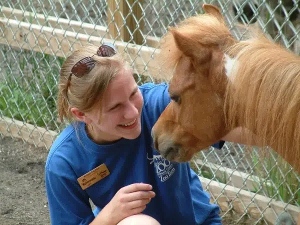 A woman with sunglasses on her head and a blue shirt is smiling and touching a horse through a chain-link fence at a zoo or animal sanctuary.