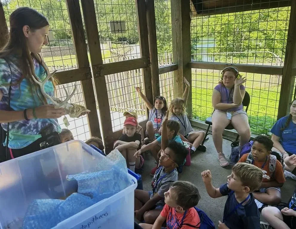 A woman teacher showing a skull with antlers to a group of children sitting inside a caged outdoor pavilion.