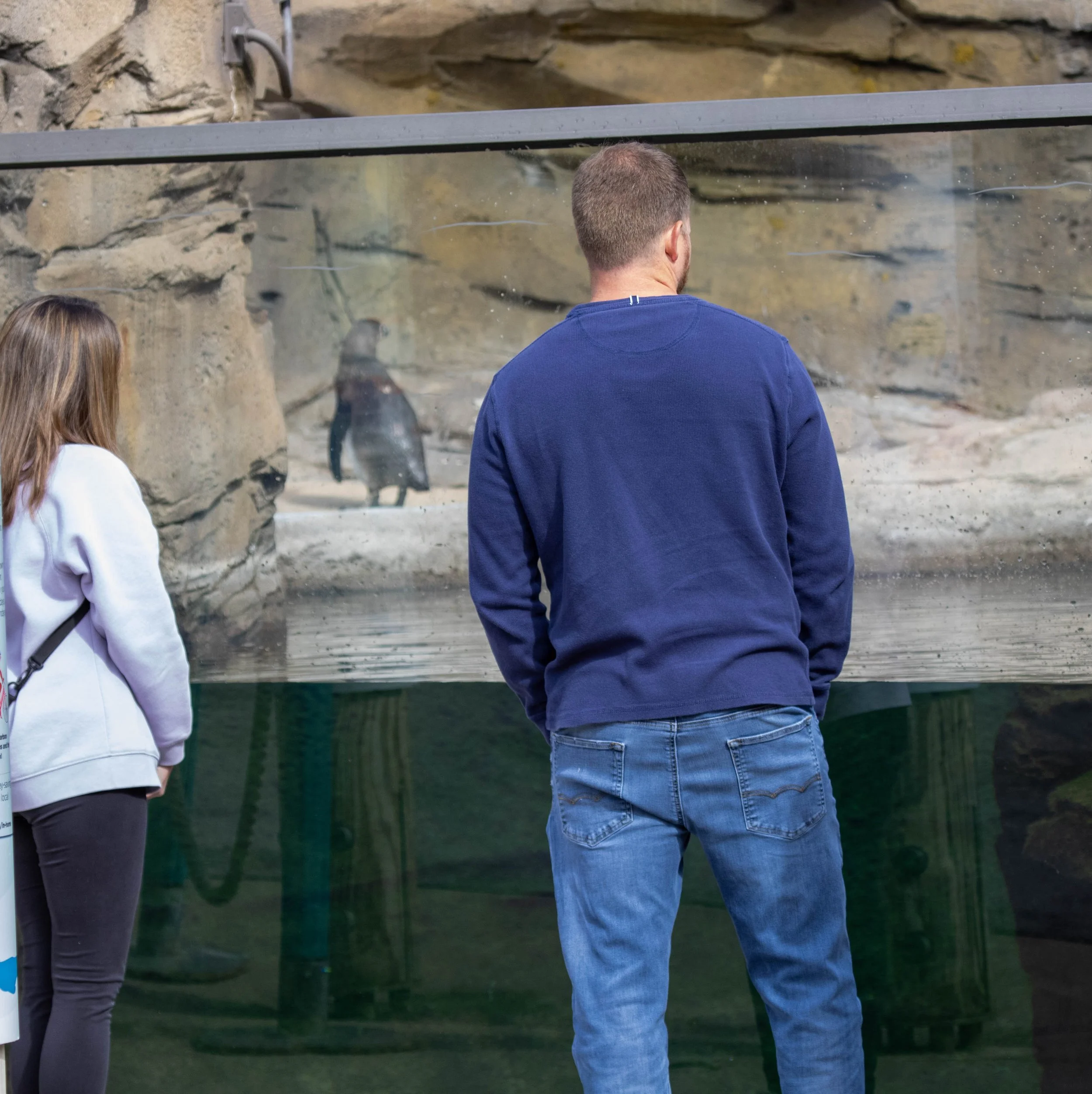 penguin with guest (1 of 1).jpg