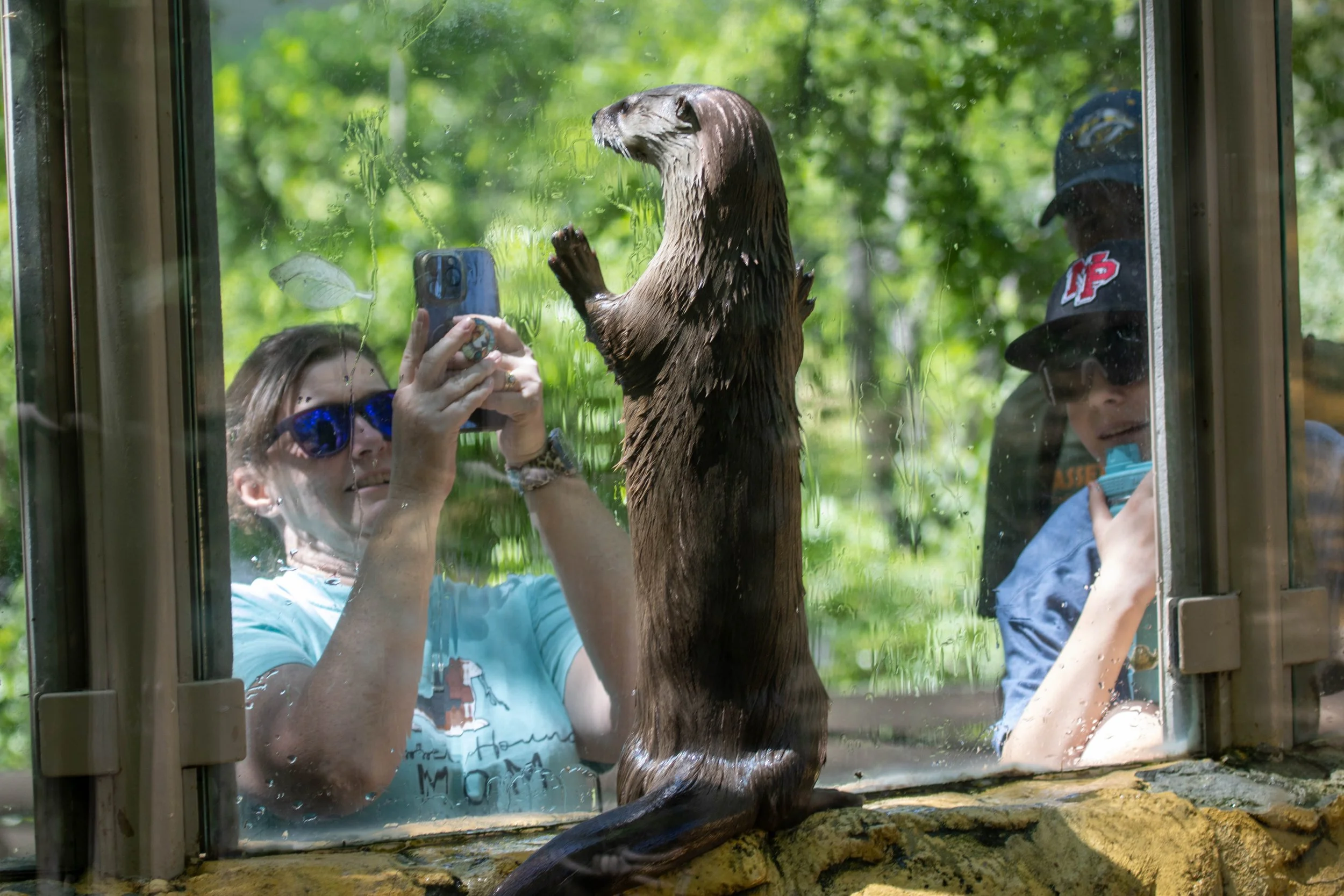 guest with otters 2 (1 of 1).jpg