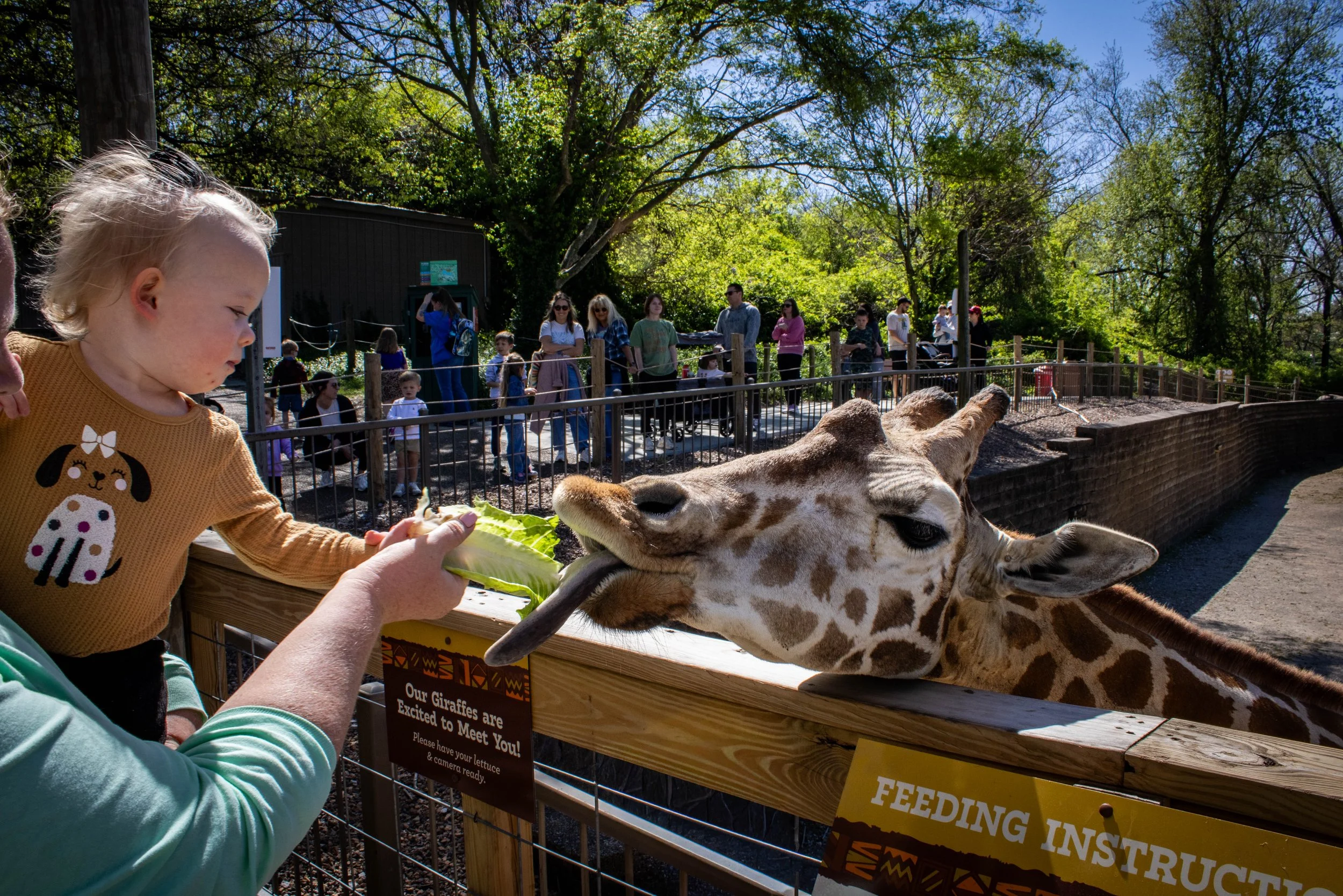 Copy of kid giraffe 5 (1 of 1).jpg