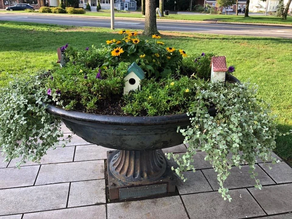 Hager troth decorated