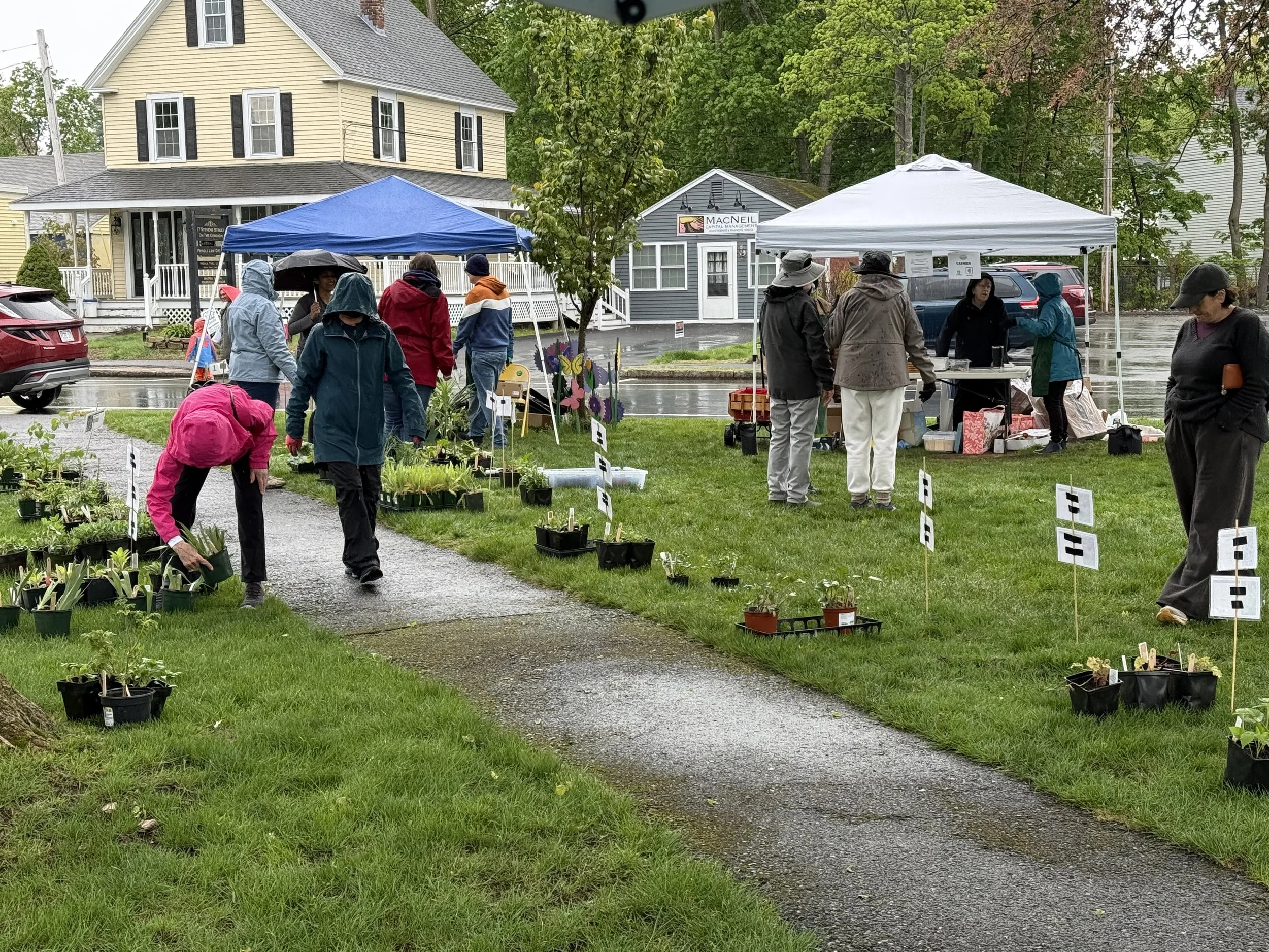 Rain or Shine, Littleton Showed Up: Thank You for a Wonderful 2026 Plant Sale