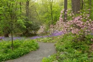Spring Is Here!