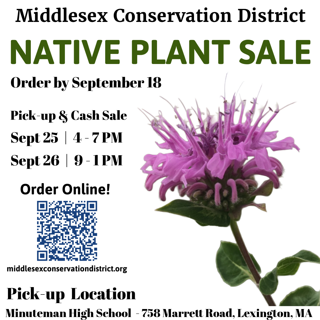 2026 Fall Native Plant Sale – Minuteman High School Pickup & Cash Sale – Day 1
