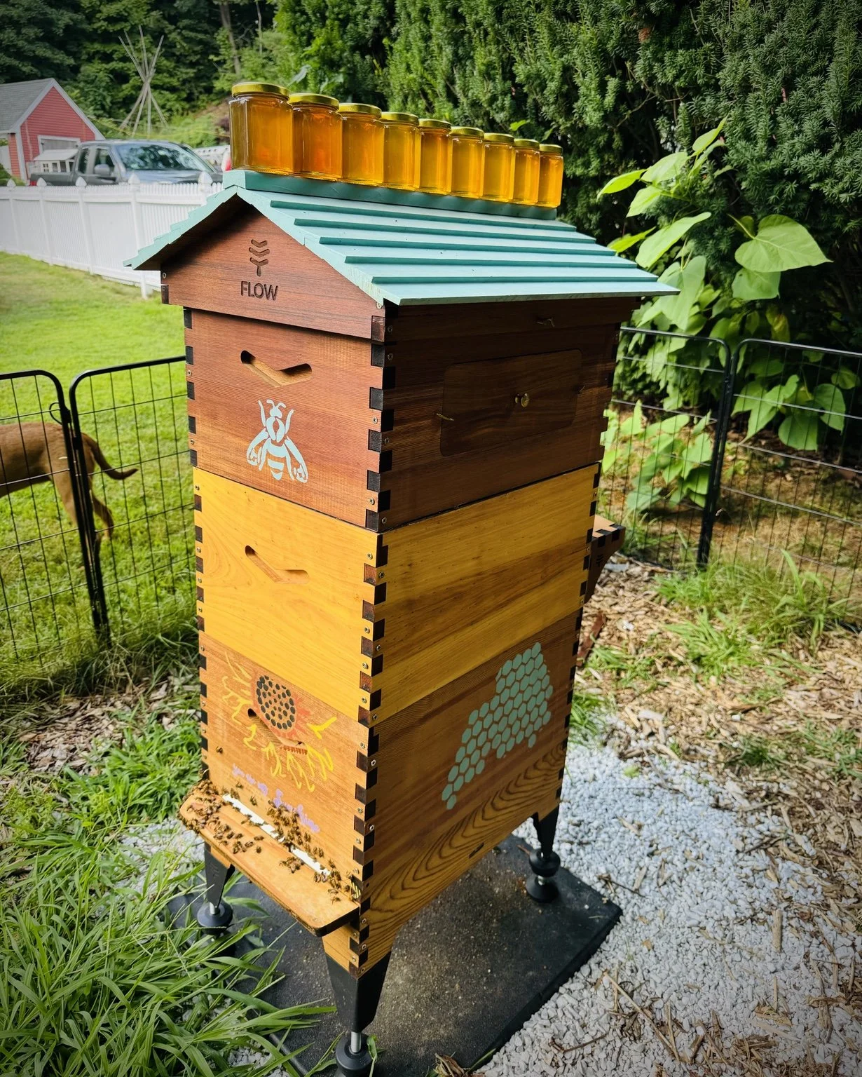 Why we love bees