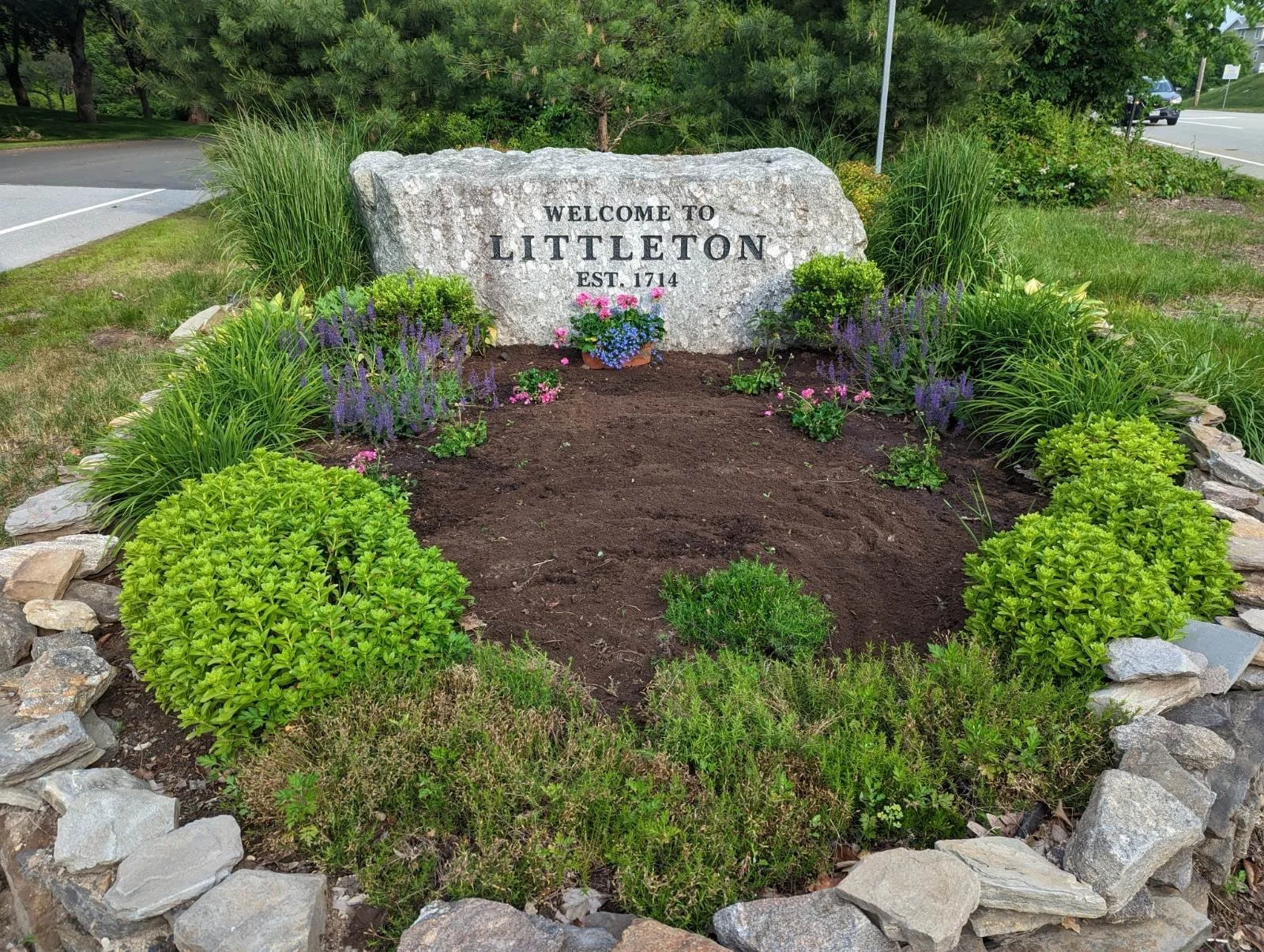 A landscaped flower bed with green shrubs, purple and pink flowers, and a large rock sign that says "Welcome to Littleton Est. 1714". The flower bed is surrounded by rocks and is located near a parking area and a road.
