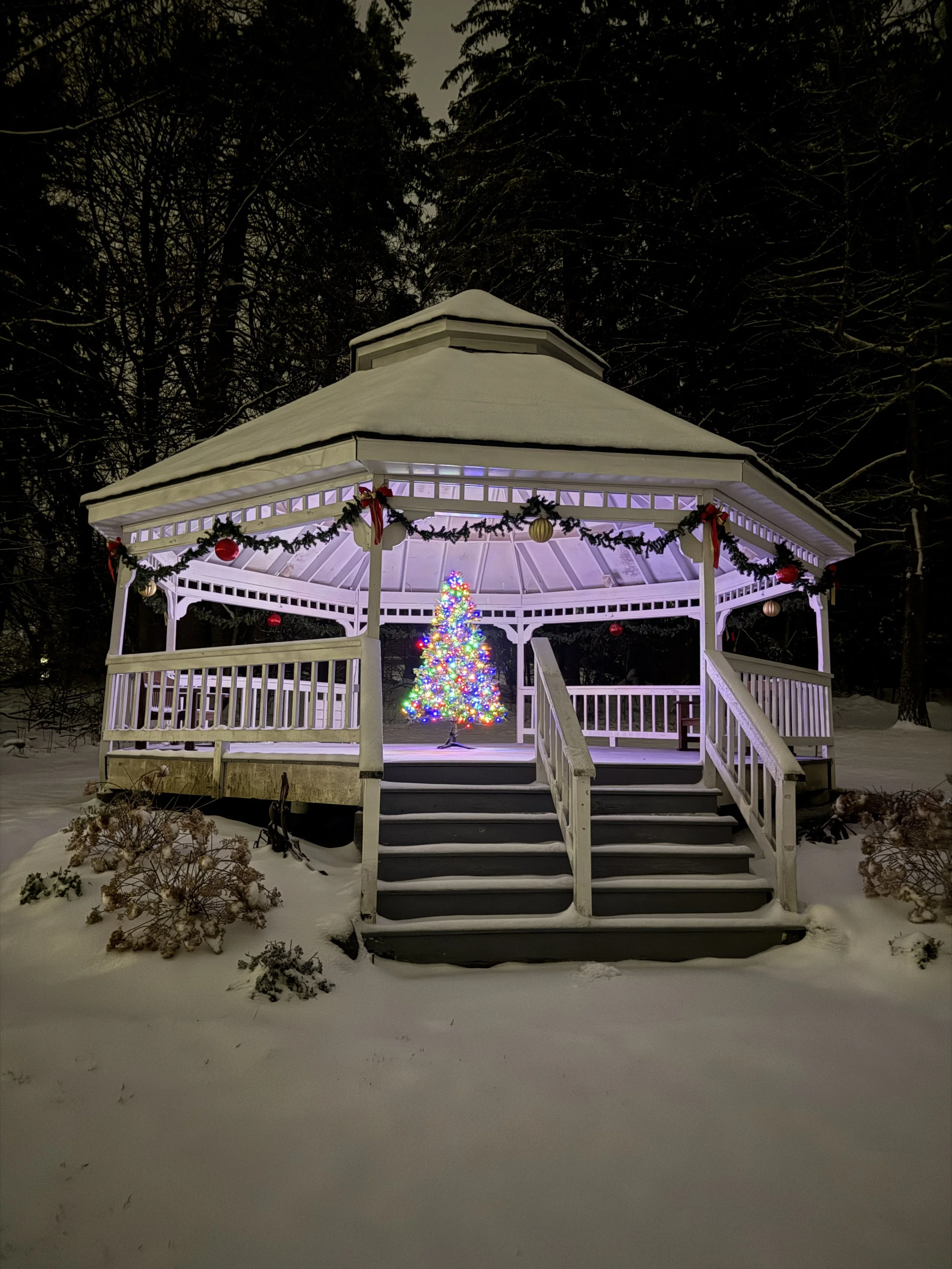 A decorated gazebo with a Christmas tree inside, surrounded by snow at night.
