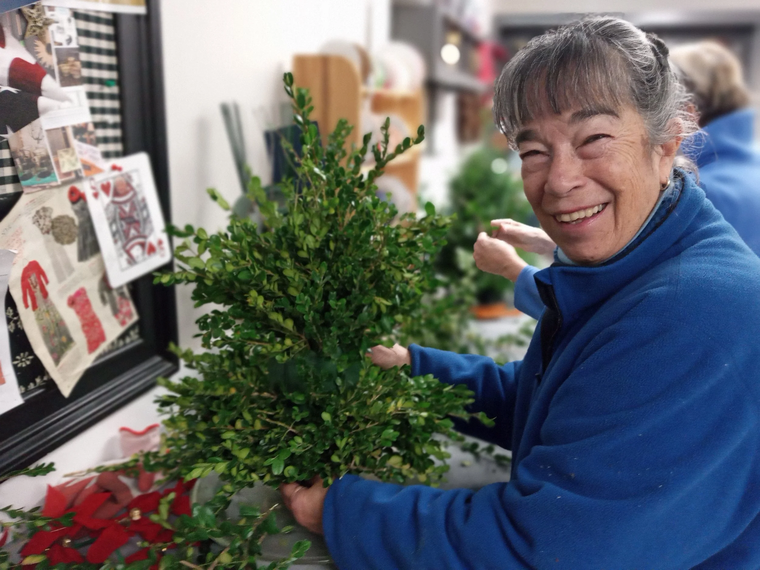 An elderly woman with gray hair smiling while working with a green potted plant in a festive holiday setting.