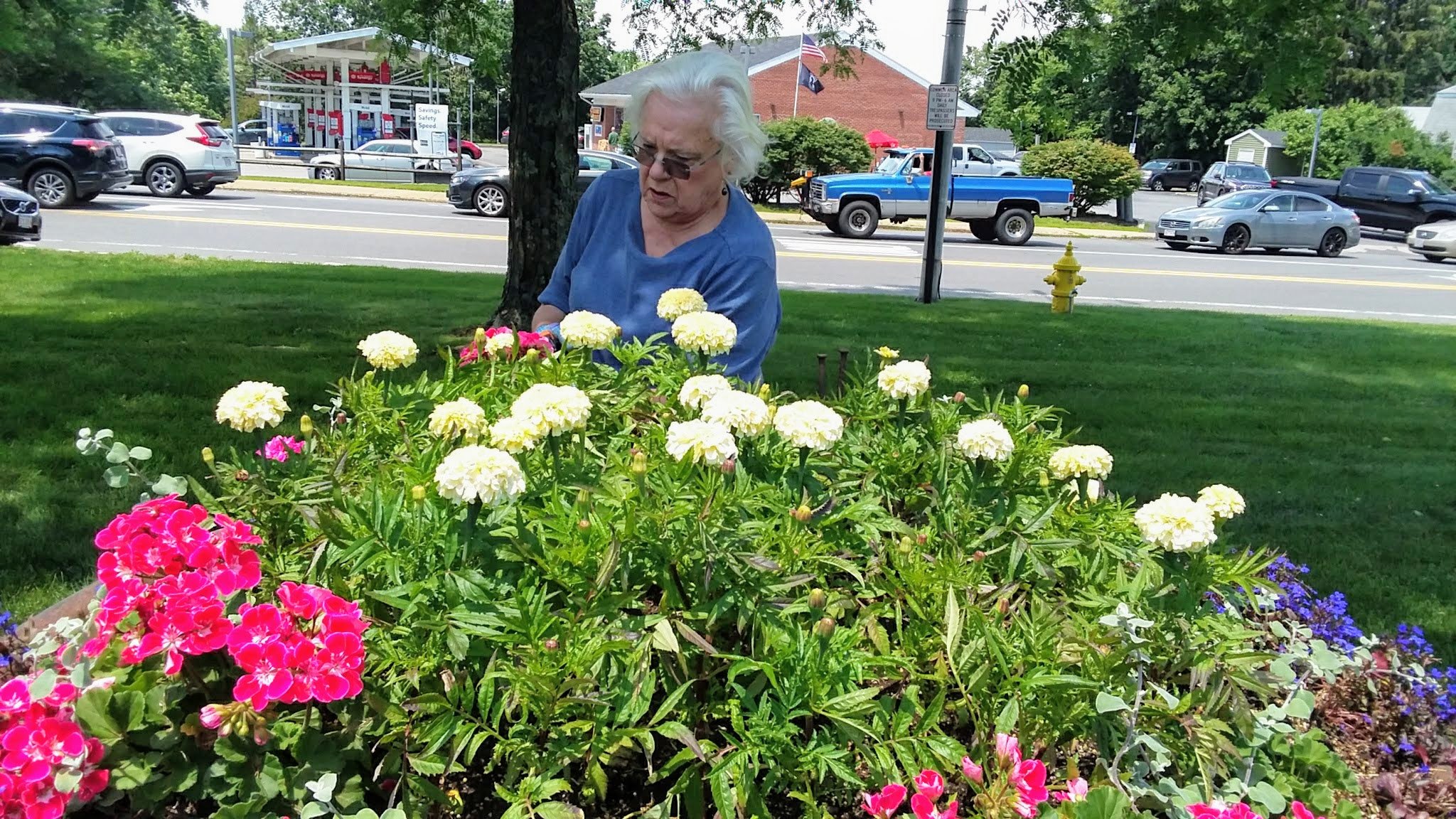 An elderly woman with white hair and glasses tending to a garden bed with pink, white, and purple flowers on a sunny day, with cars and a gas station in the background.