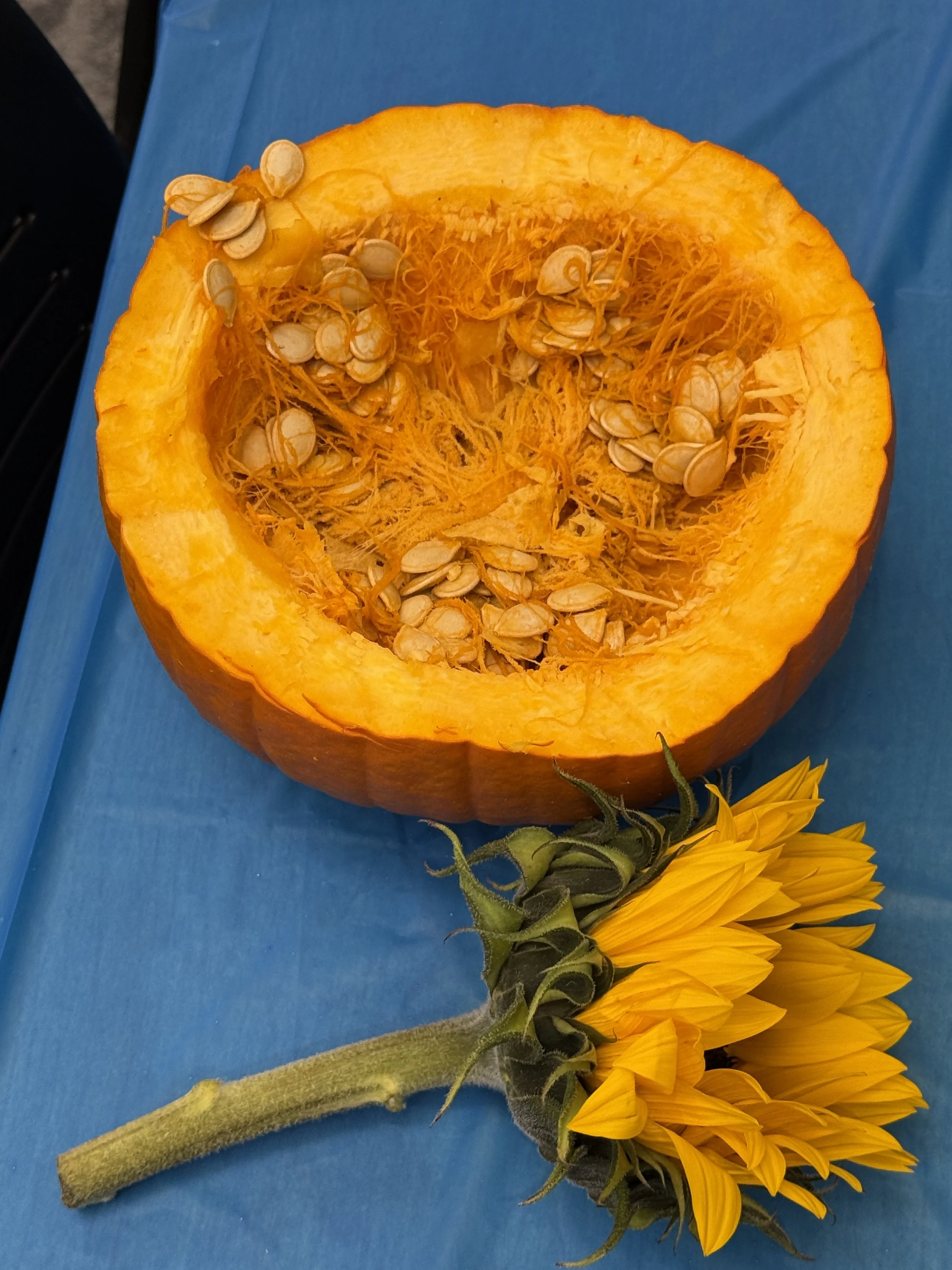 Little Hands, Big Blooms: Kids Craft Pumpkin Arrangements at the Reuben ...