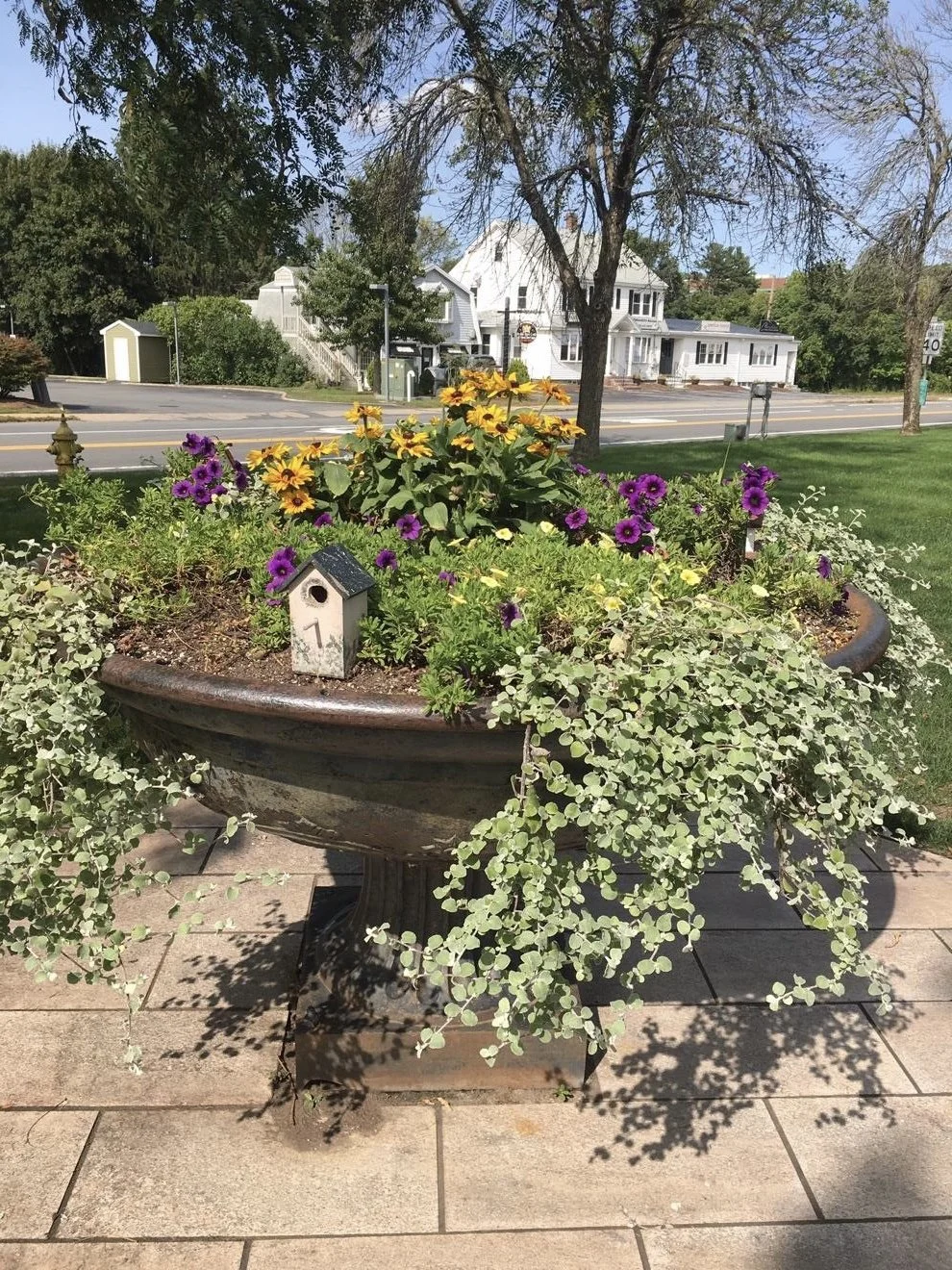 A large planter filled with yellow, purple, and white flowers, with a small birdhouse on the left side, in a sunny outdoor setting near a sidewalk and street.