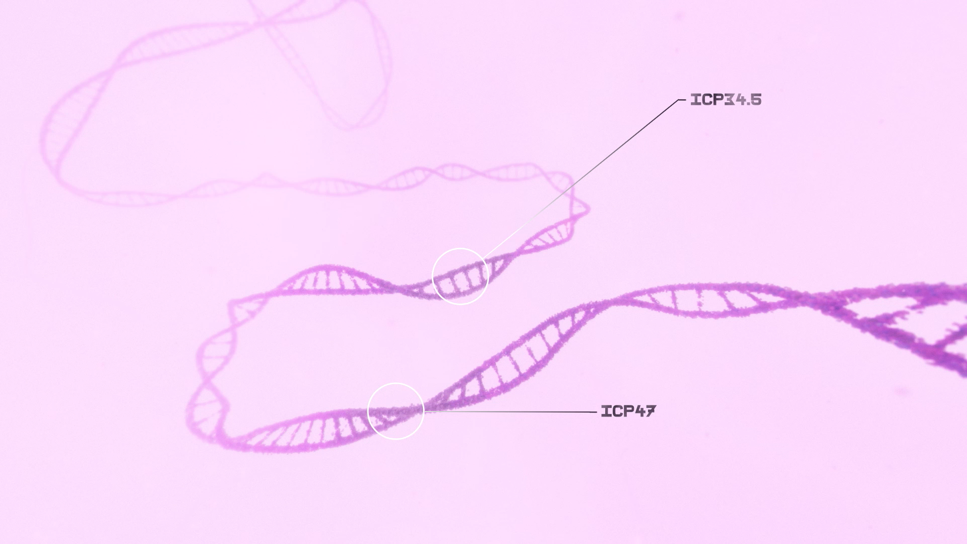 Screen Shot 2022-04-21 at 5.32.50 PM copy.png