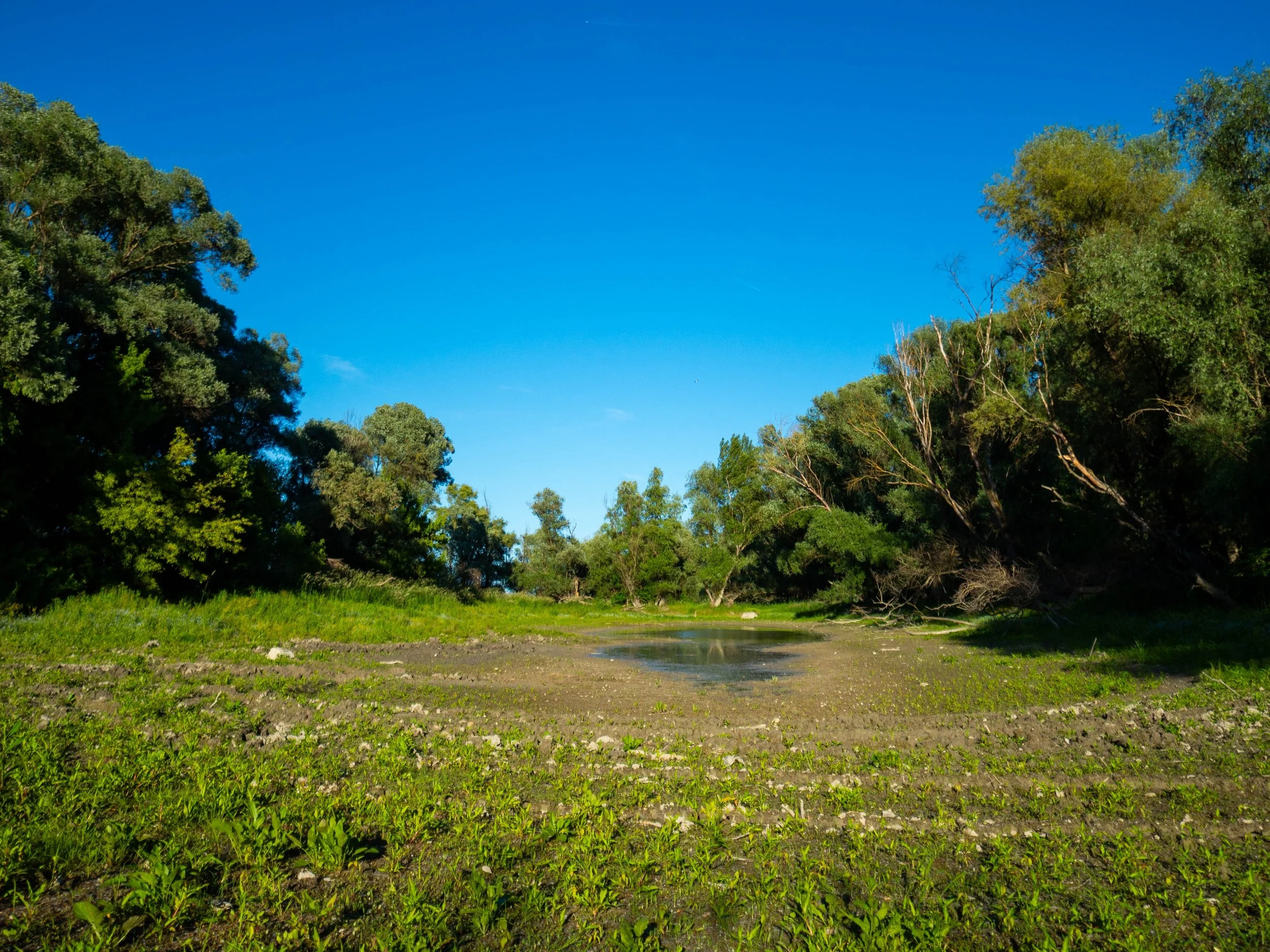 #landscape #landscapephoto #holtag #duna #danube #hungarynarute #visithungary