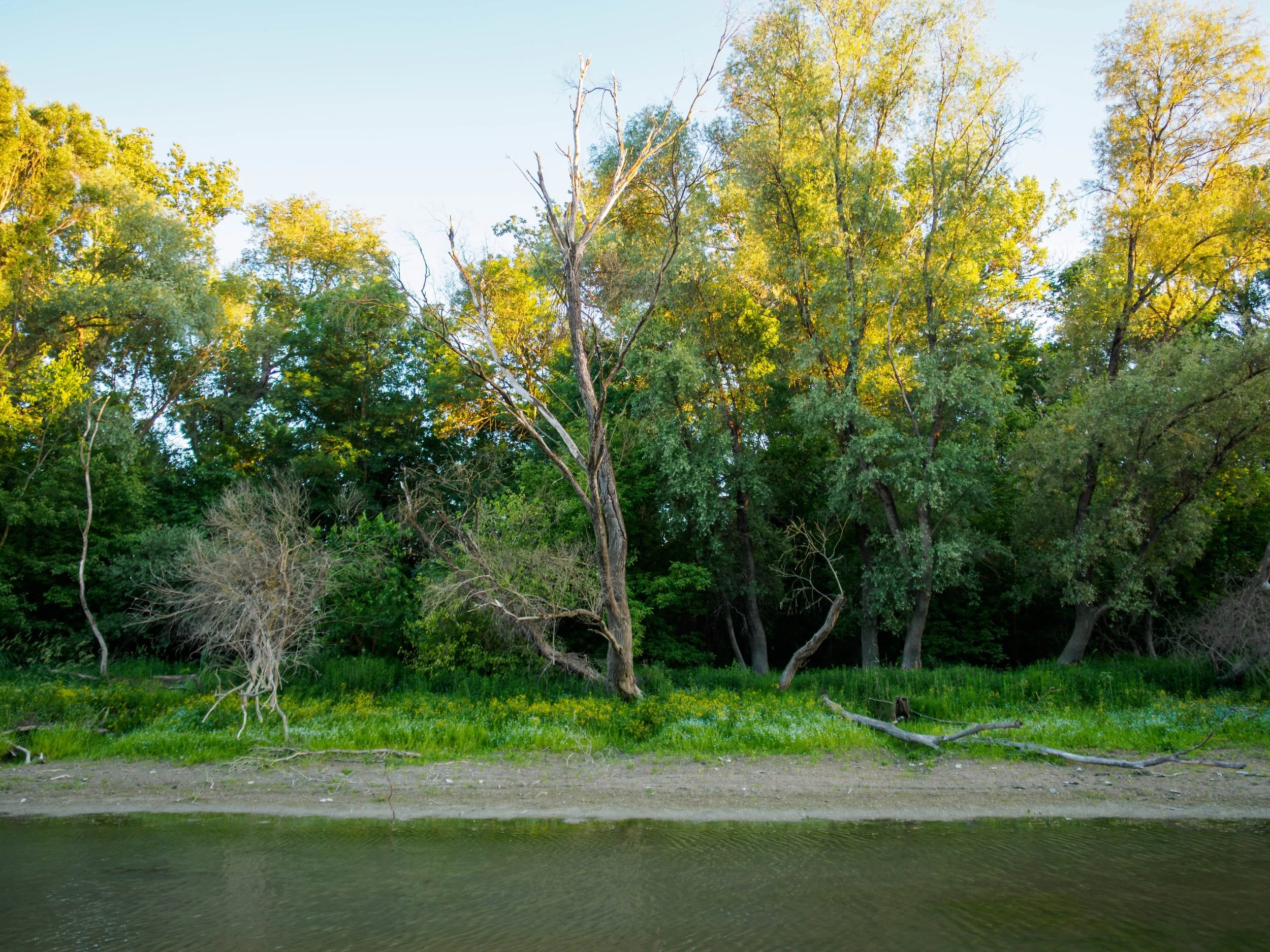 summer colours
 
#summer #visithungary #danube #duna #riverside #hhungary #summervibe