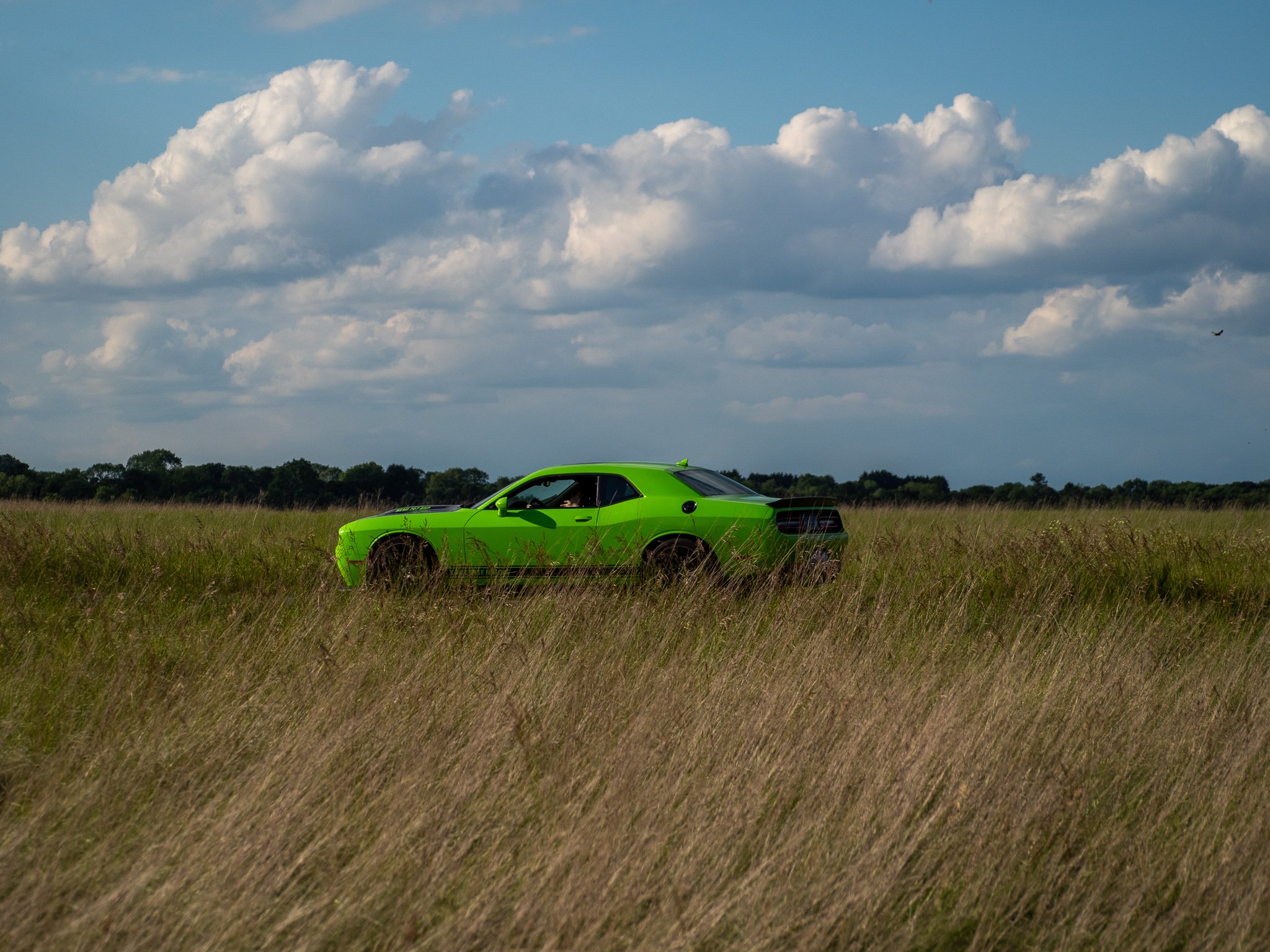 P5280416-3.jpg