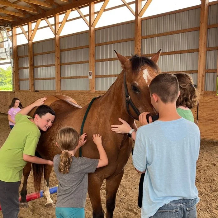 kva-horseback-riding-program-carlisle-7.jpg
