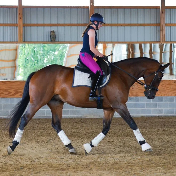 kva-horseback-riding-program-carlisle-10.jpg