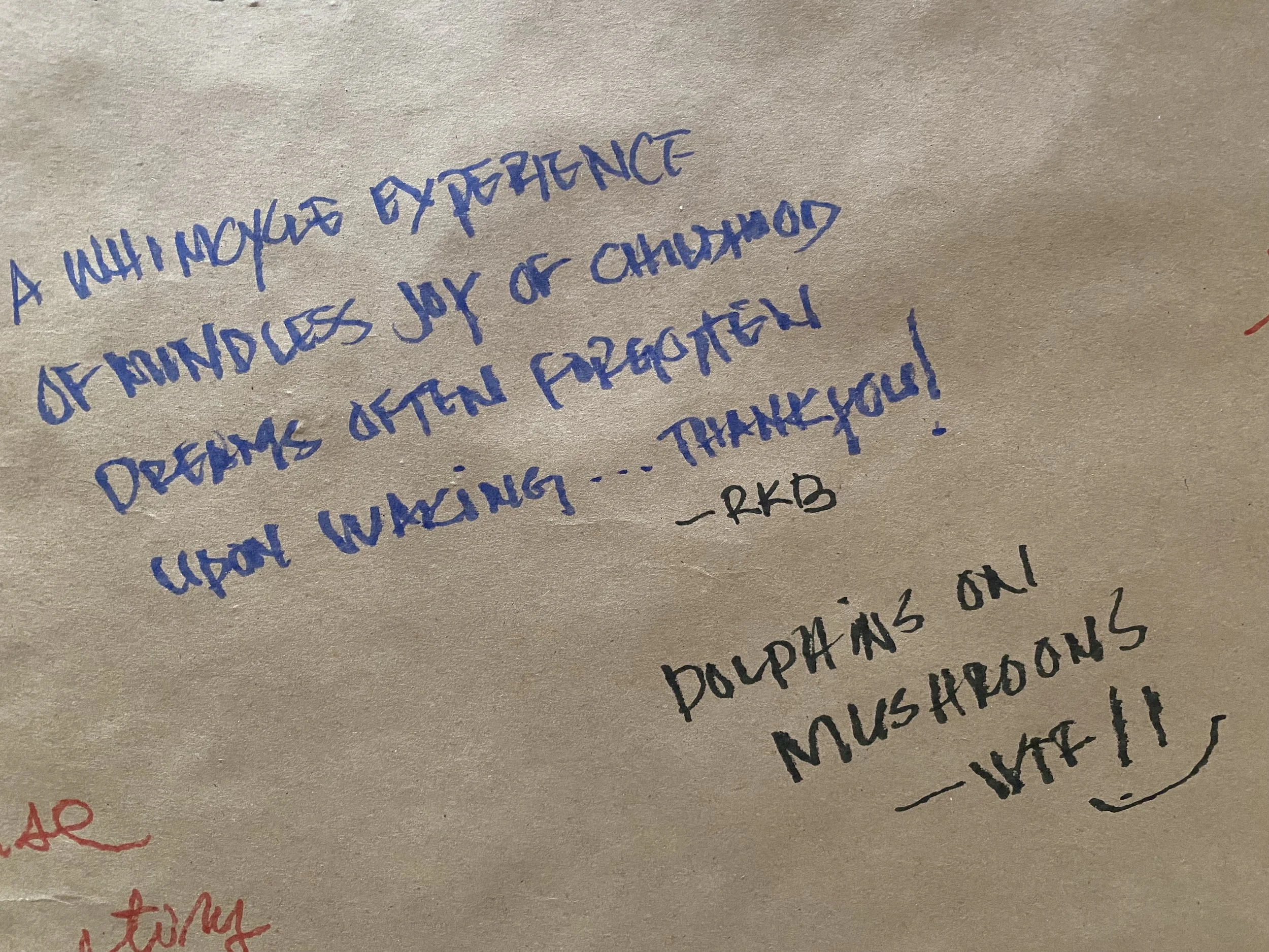 2023.05.31.whimcycle.jpg