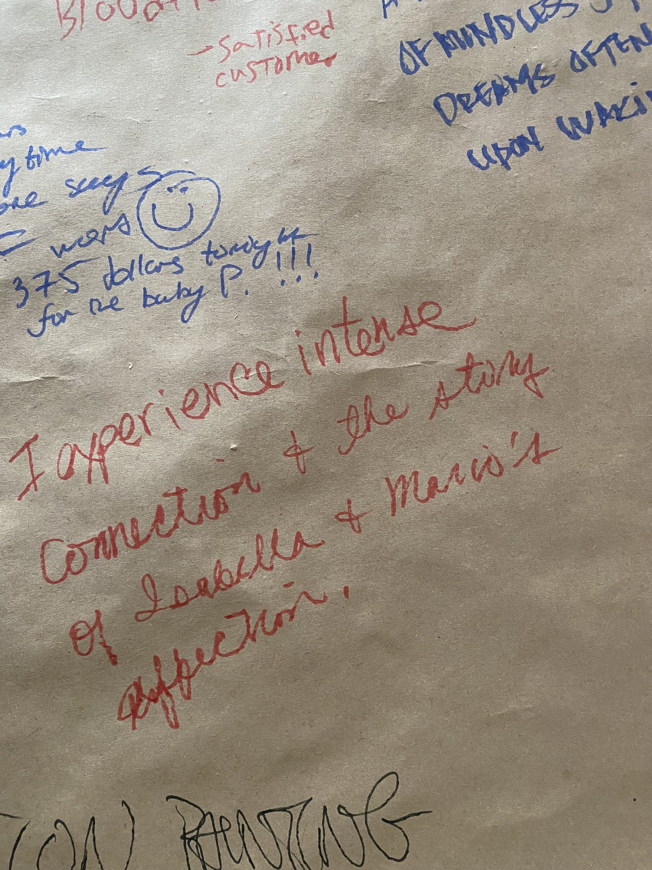 Excerpted Audience Responses