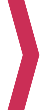 Close-up of a pink and black striped fabric or object.