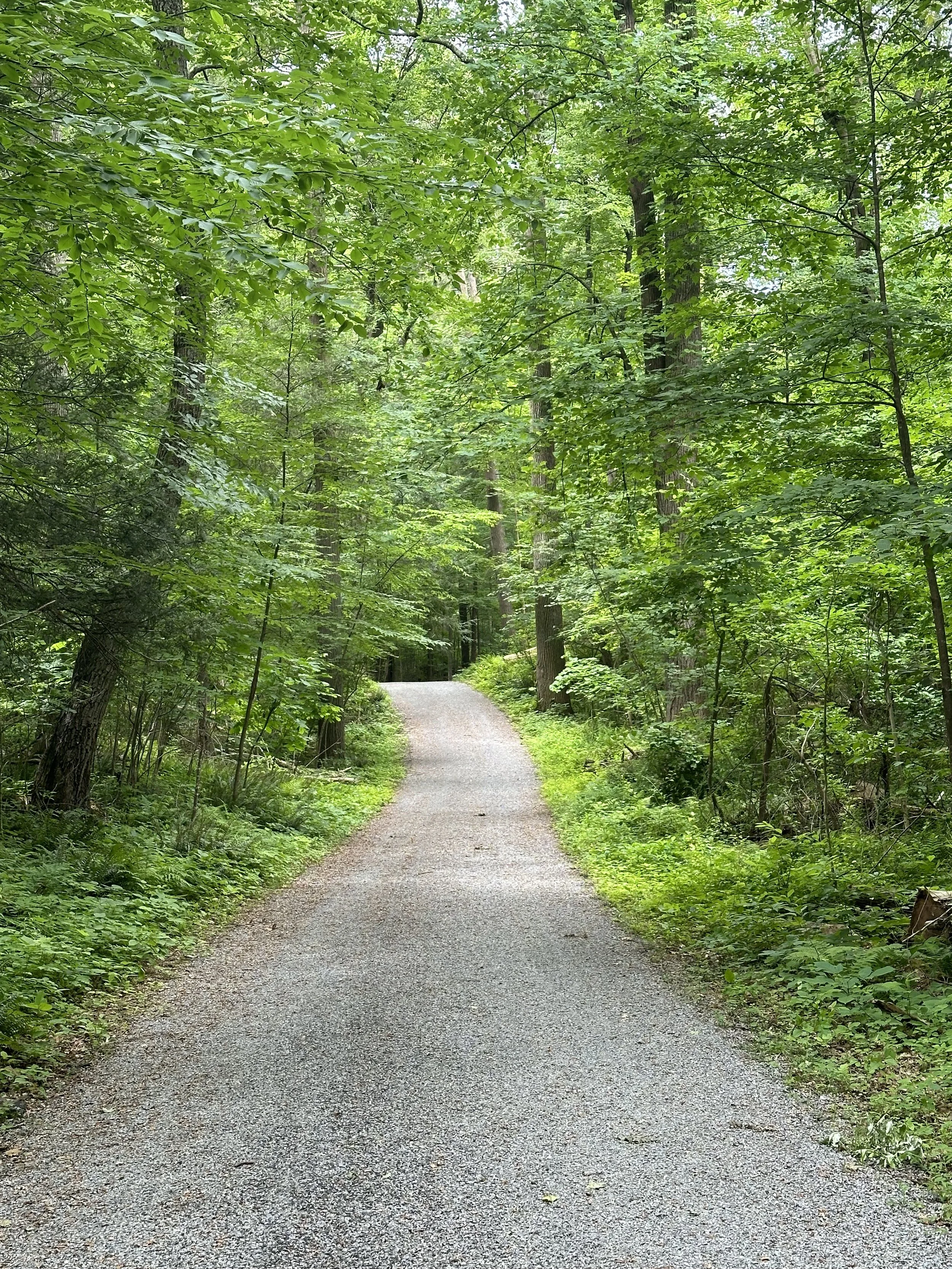 ®2024 Kittatinny Valley State Park, NJ-Yvette Ramos-Volz