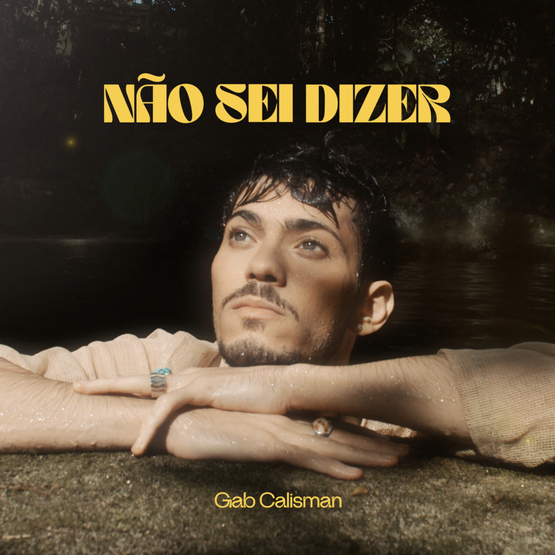 GAB CALISMAN
Não Sei Dizer

[Single] [2023]

Bass