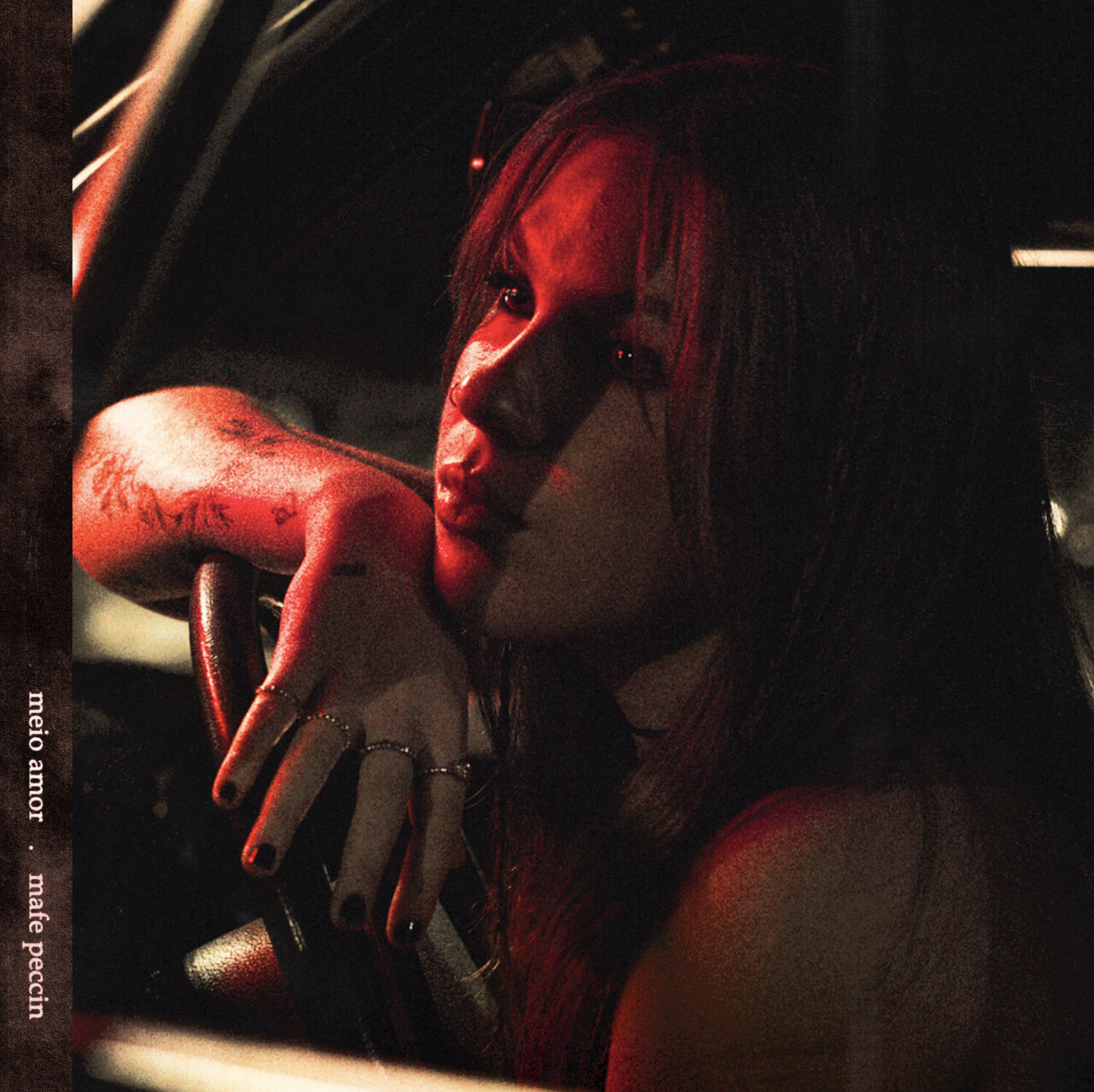 MAFE PECCIN
Meio Amor

[Single] [2023]

Producer
