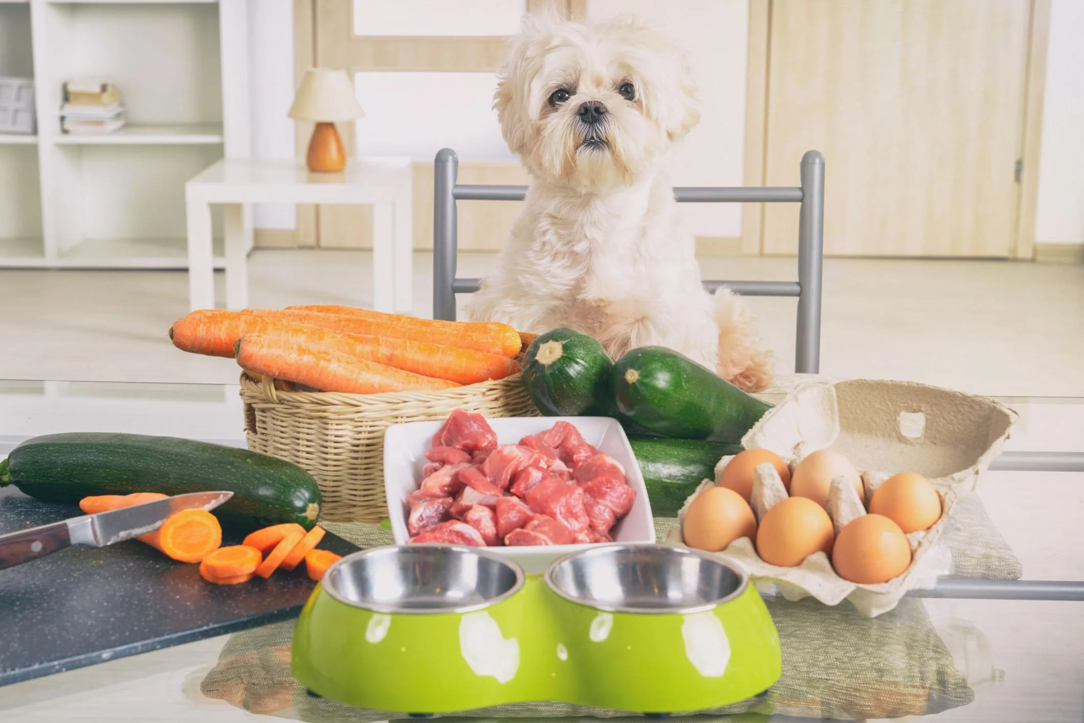 A small dog sitting behind a table with fresh vegetables, eggs, and raw meat. The dog is in a kitchen or dining area.