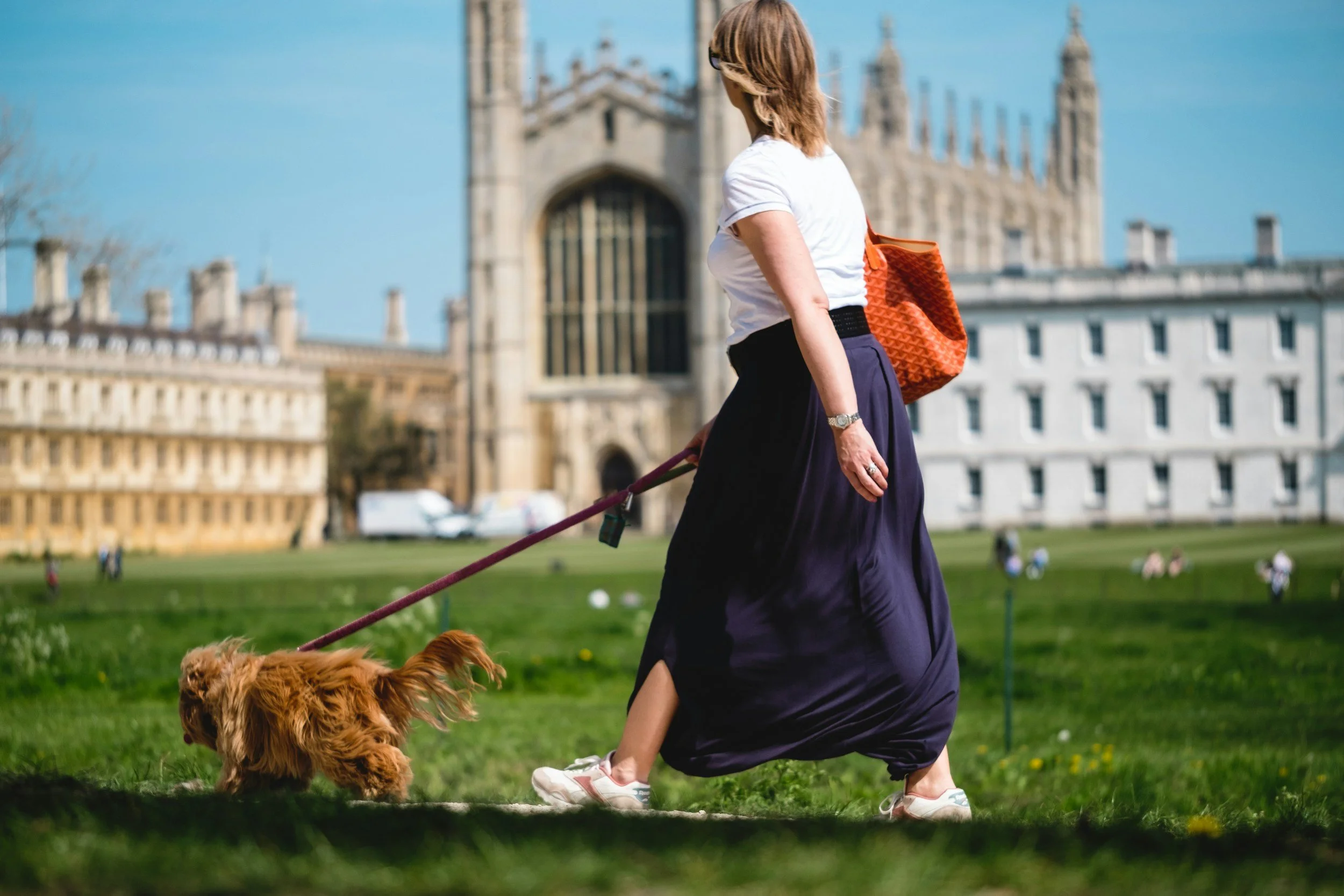 Woman walking her dog on a leash in front of a historic building on a grassy area.