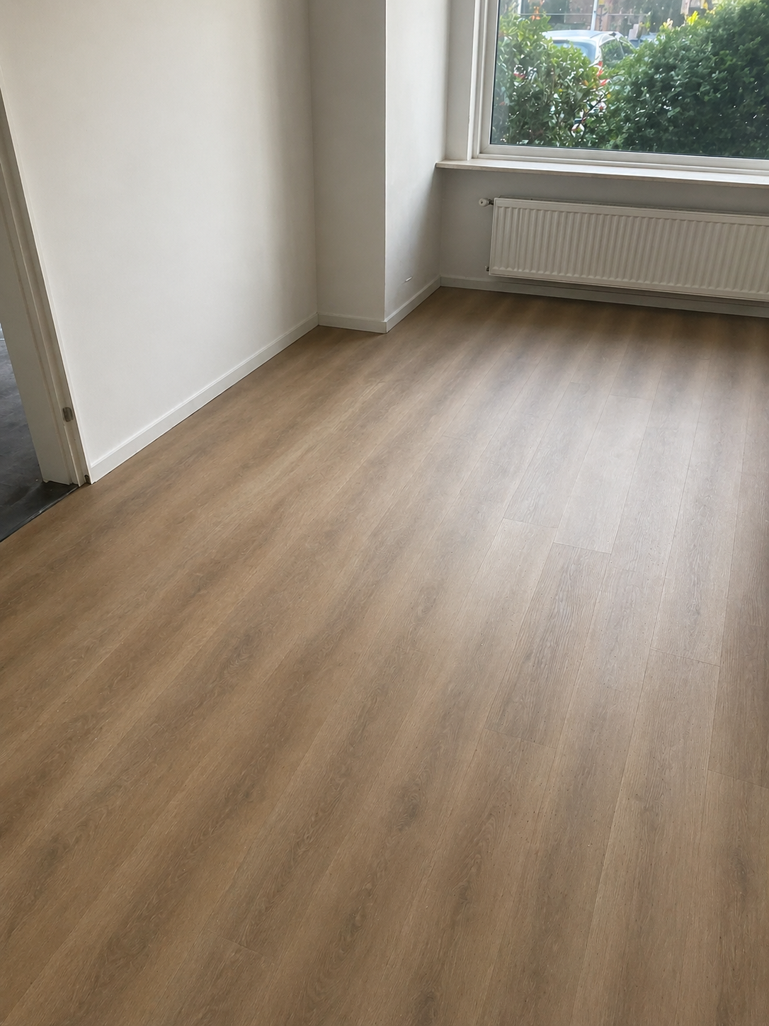 Demi : ⭐⭐⭐⭐⭐