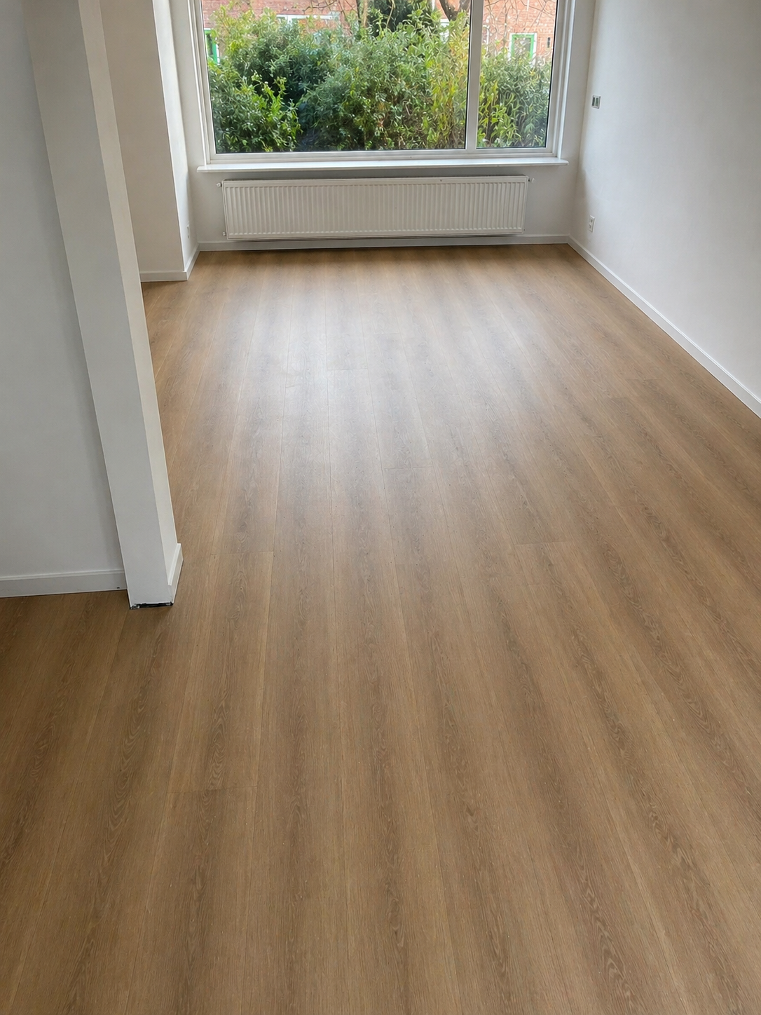 Demi : ⭐⭐⭐⭐⭐