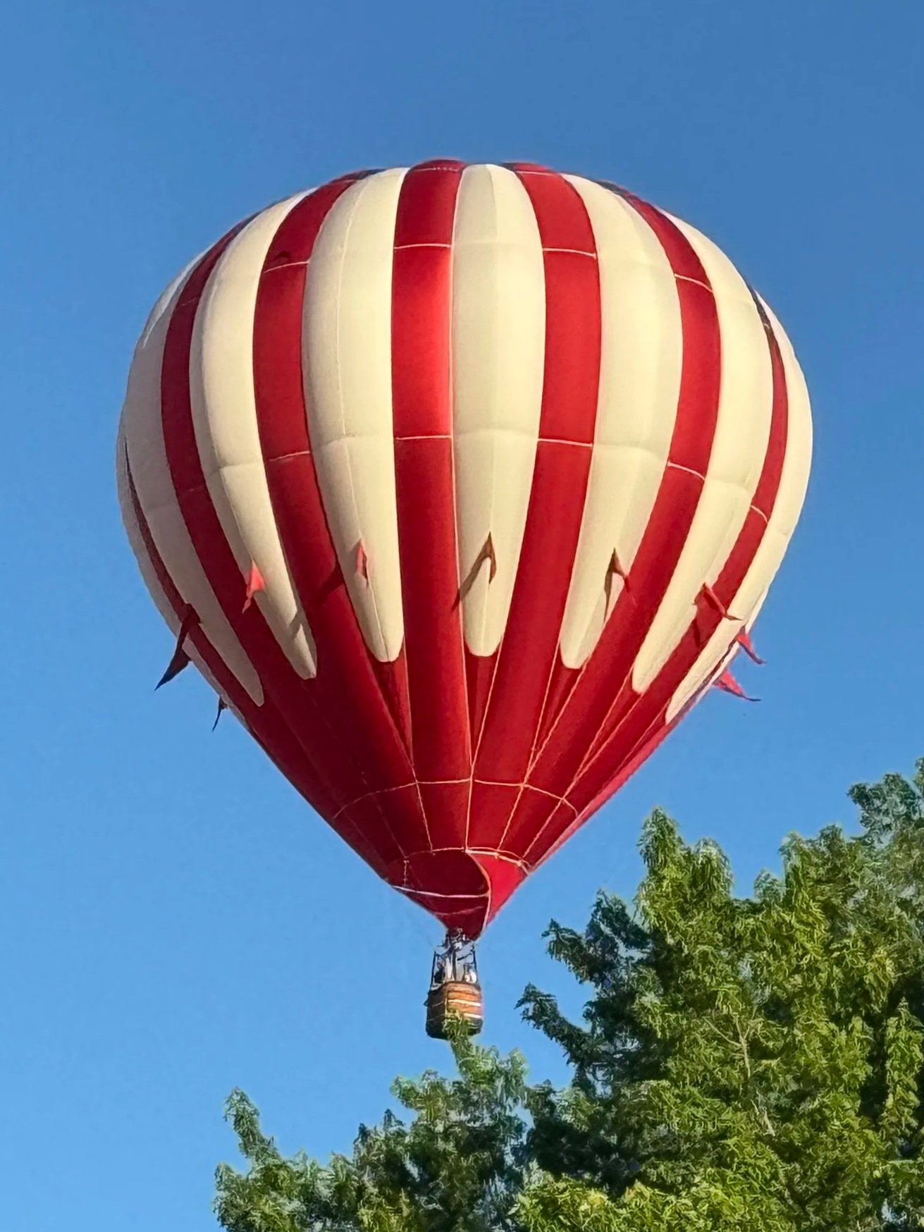Red and cream hot air balloon floating in clear blue sky above green trees.