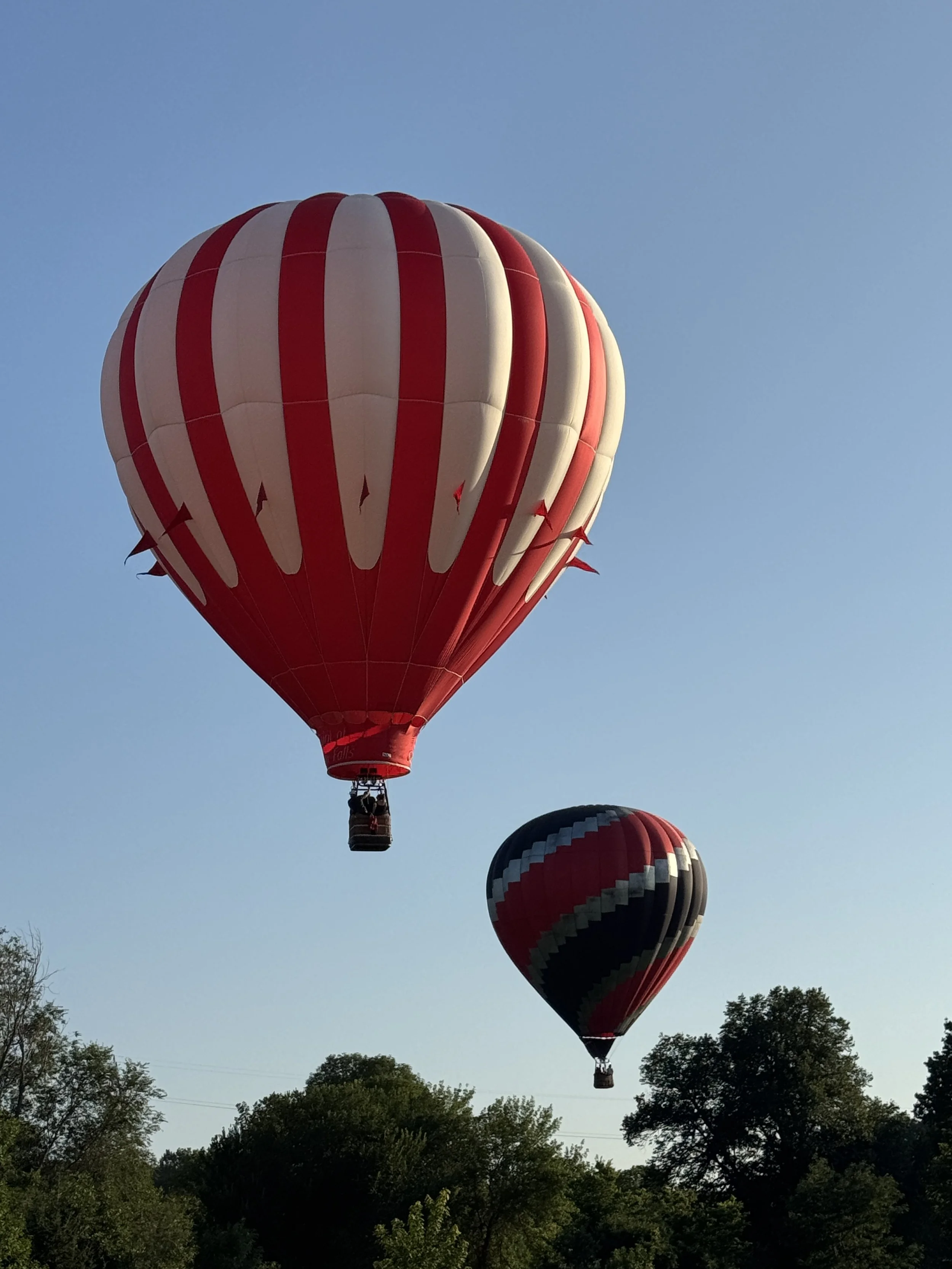 Two hot air balloons floating in the sky above trees, one larger red and white striped and the other smaller black, red, and gray striped.