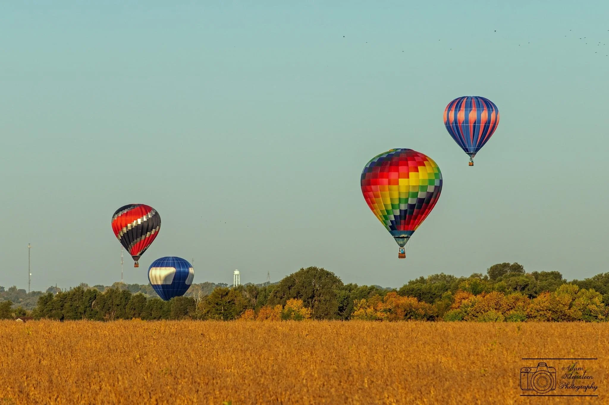 Five colorful hot air balloons floating above a field with trees in the background on a clear day.